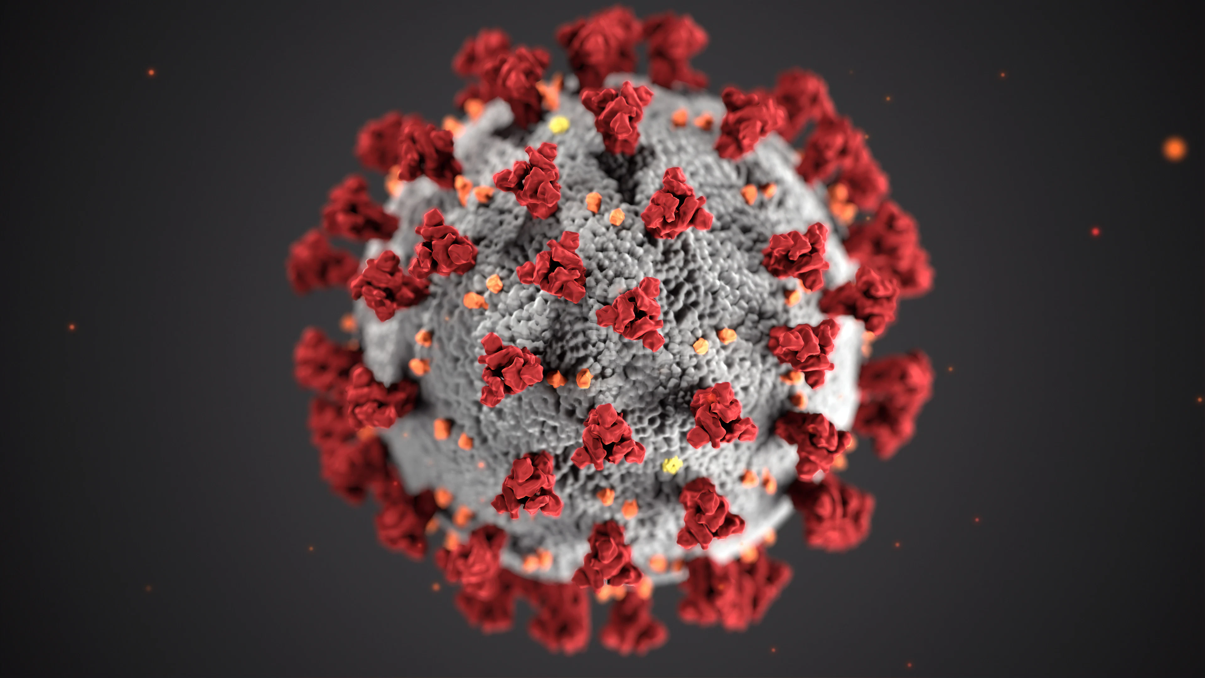 Coronavirus blijft onder de radar