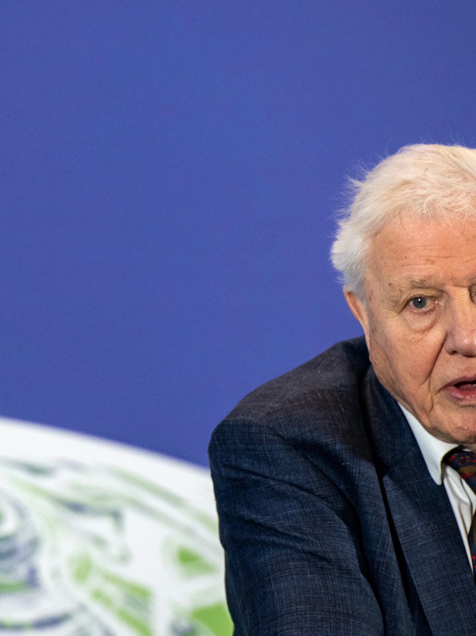 'Ik mis David Attenborough'