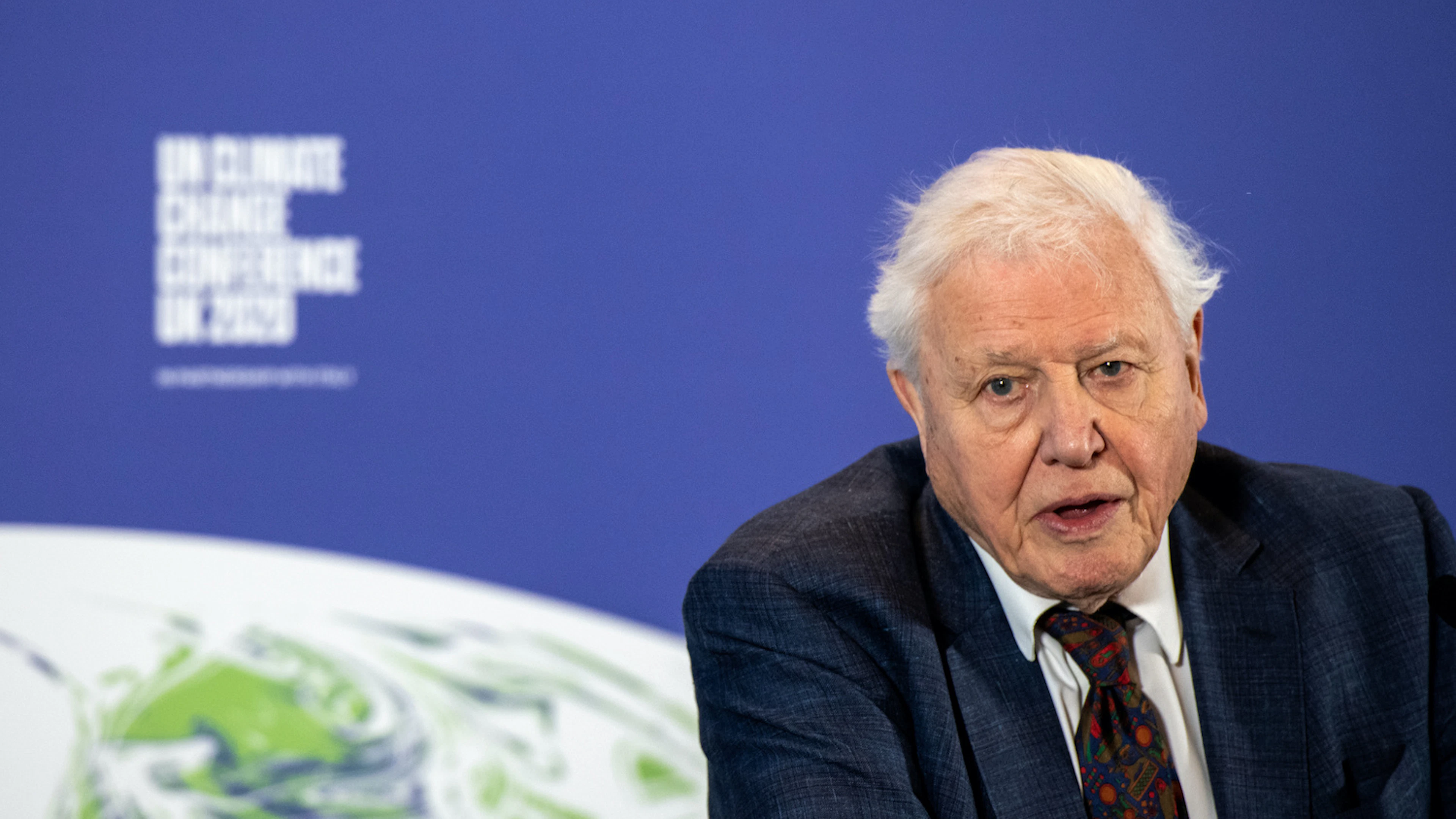 'Ik mis David Attenborough'