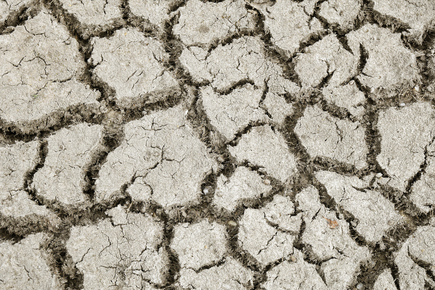 Illegaal watergebruik