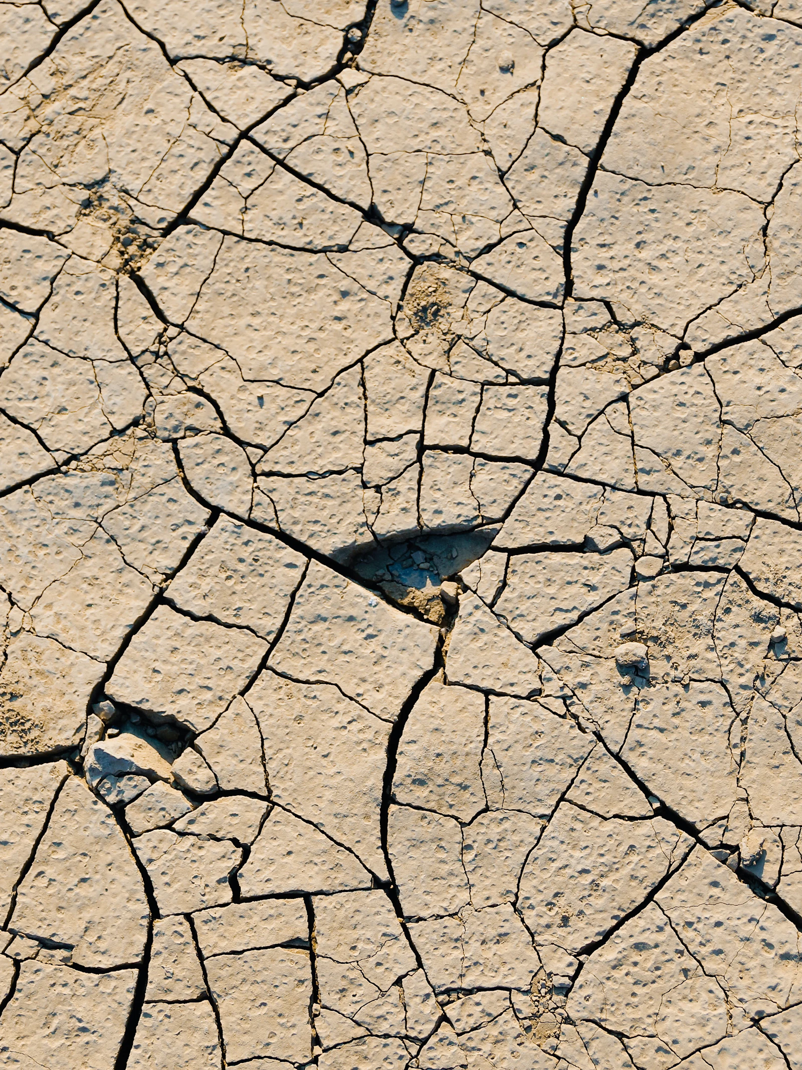 Toekomstige droogtes: hebben we een glazen bol?