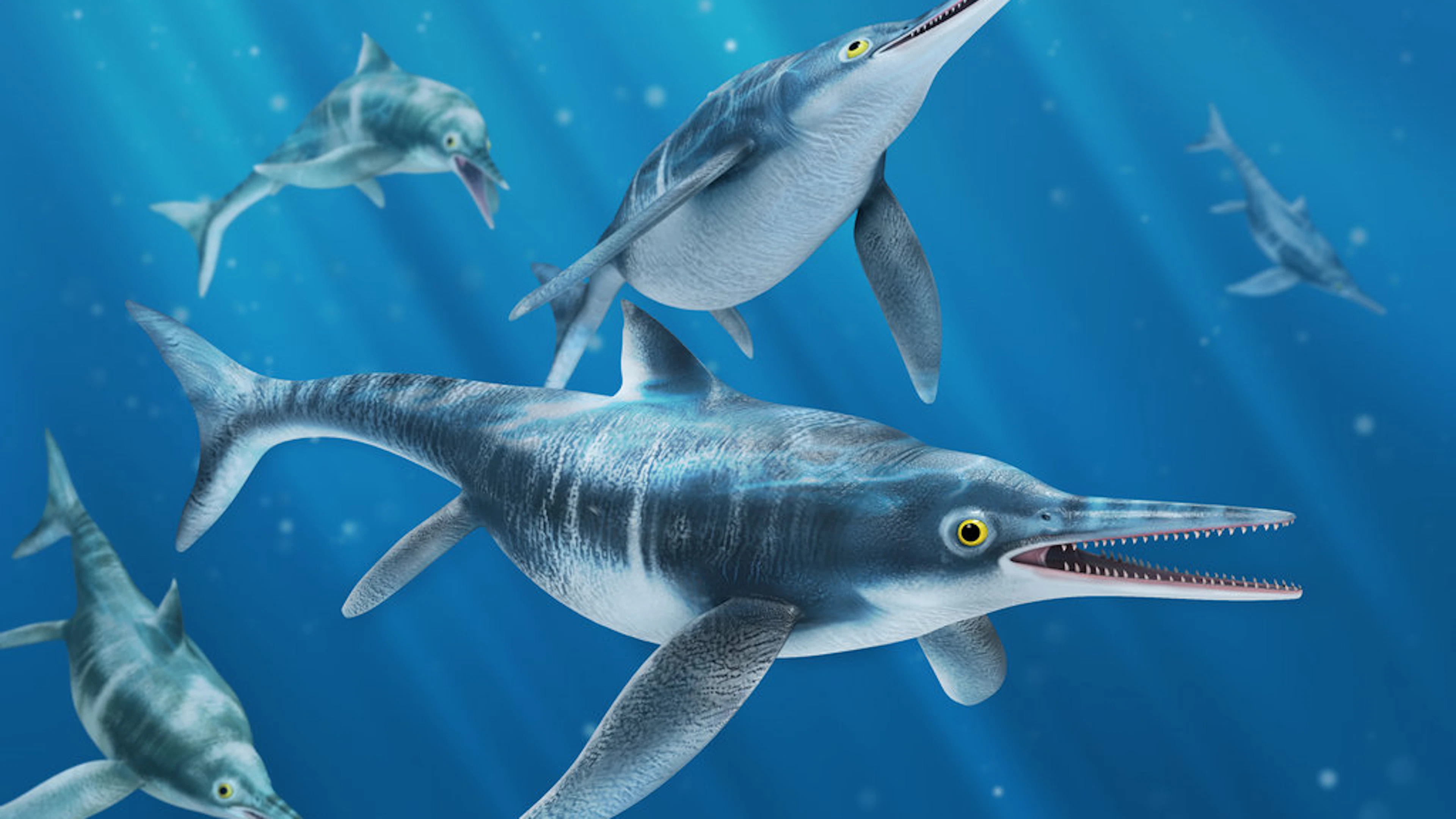 Hengelen naar een ichtyosaurus