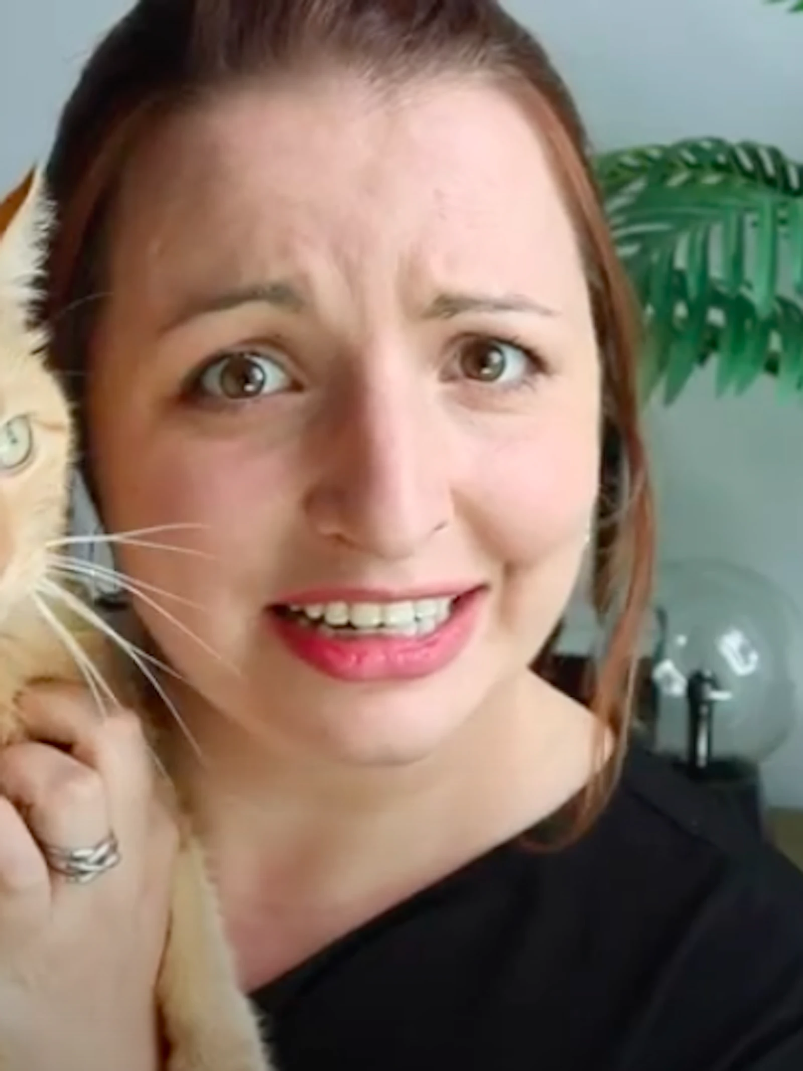 Komt er ooit een app die het gemiauw van je kat vertaalt?