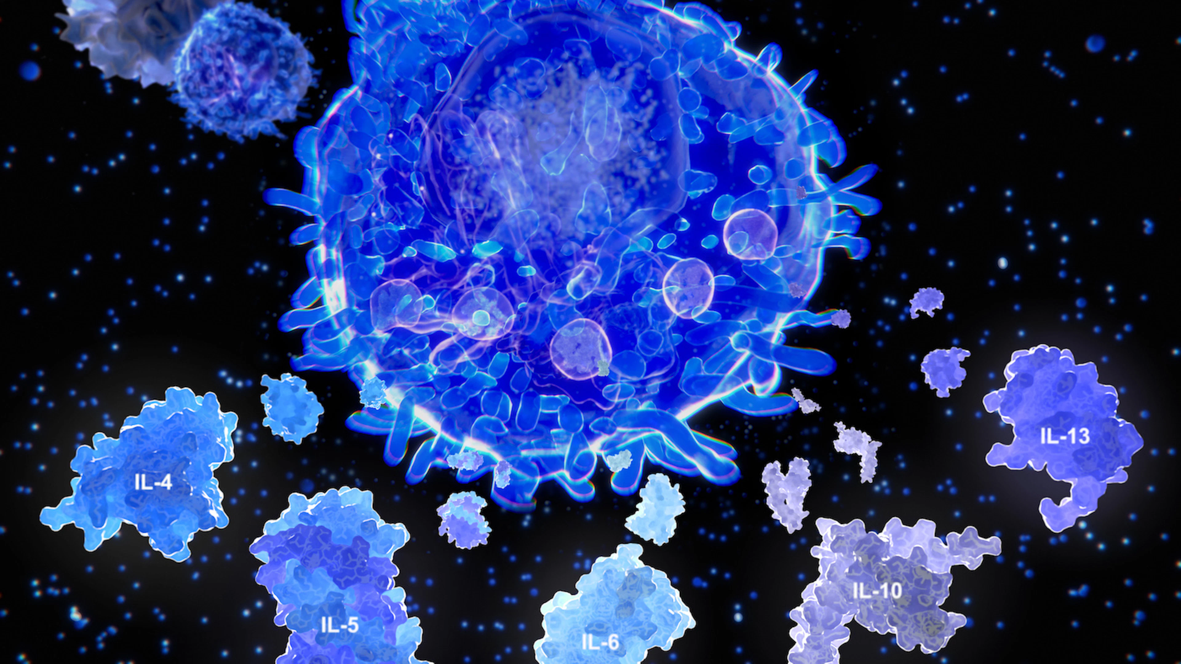 Coronavirus: wat je moet weten over B- en T-cellen