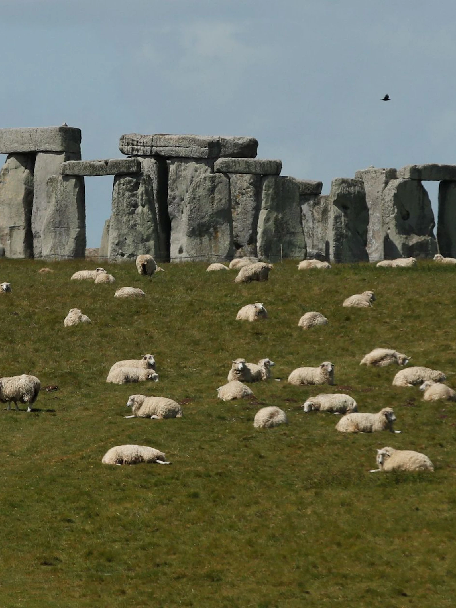 Wetenschappers ontdekken de vermoedelijke herkomst van de stenen van Stonehenge