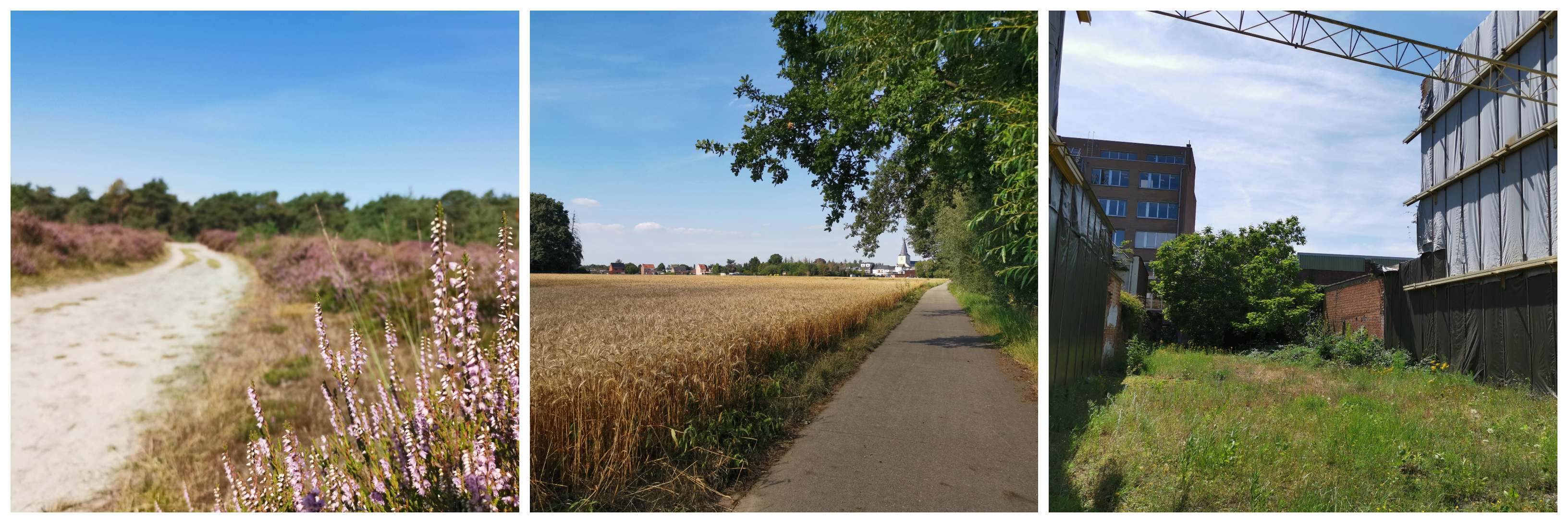 Natuur of niet, dat is de vraag