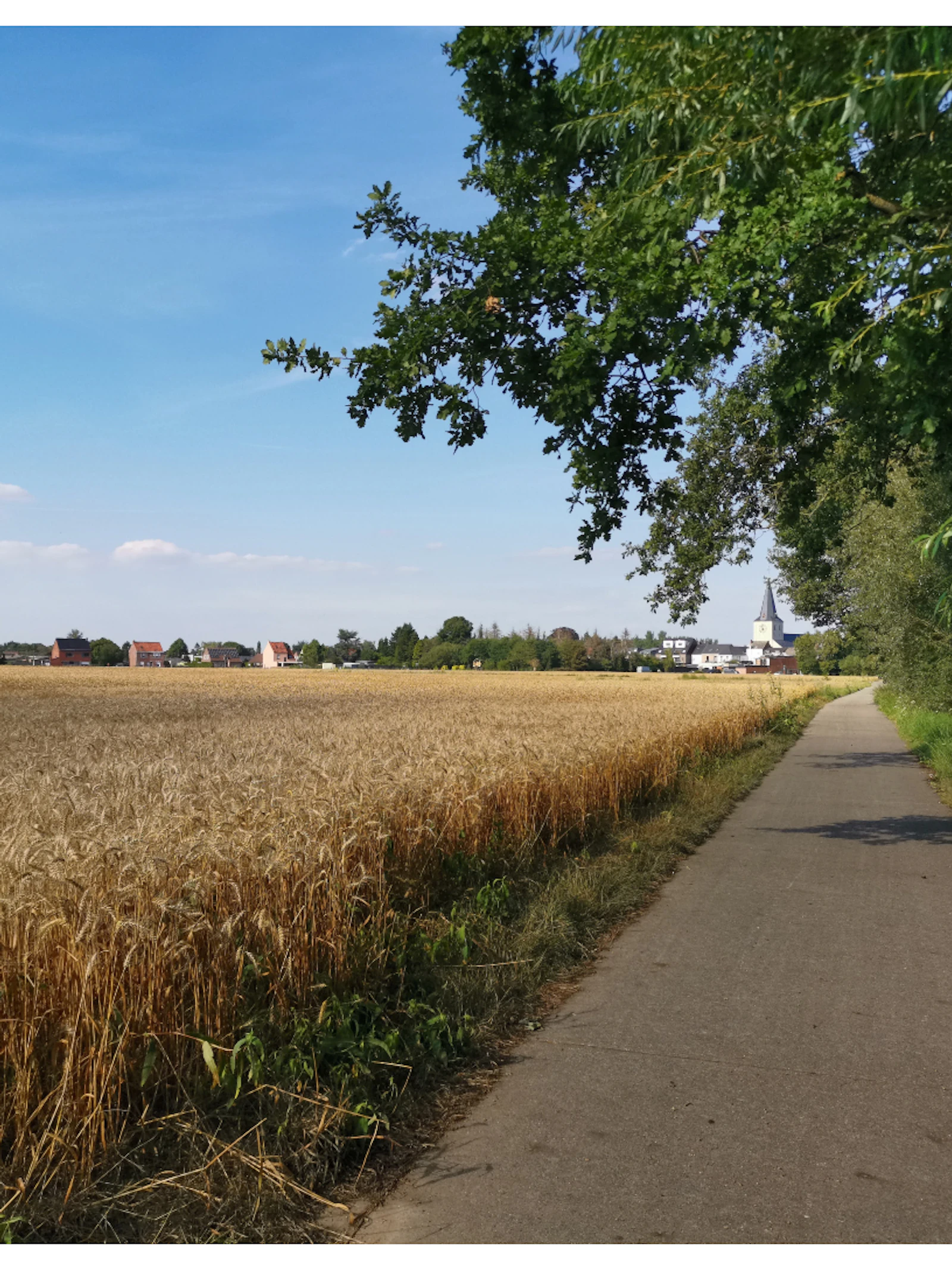 Natuur of niet, dat is de vraag
