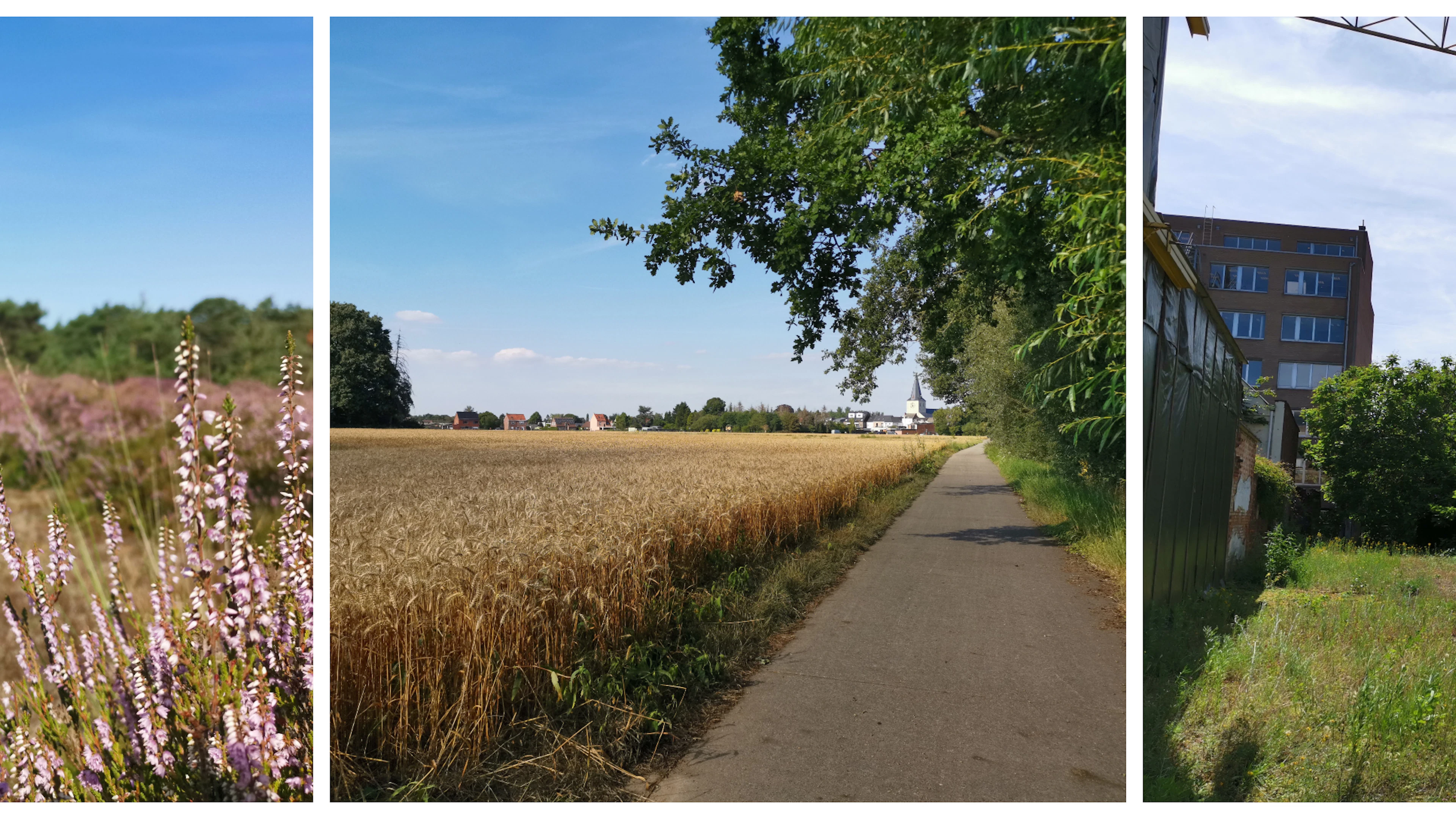 Natuur of niet, dat is de vraag
