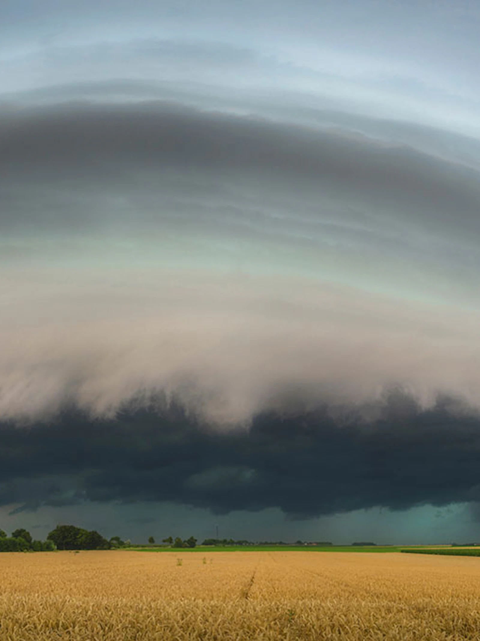 De shelfcloud: een onheilspellende wolkenformatie