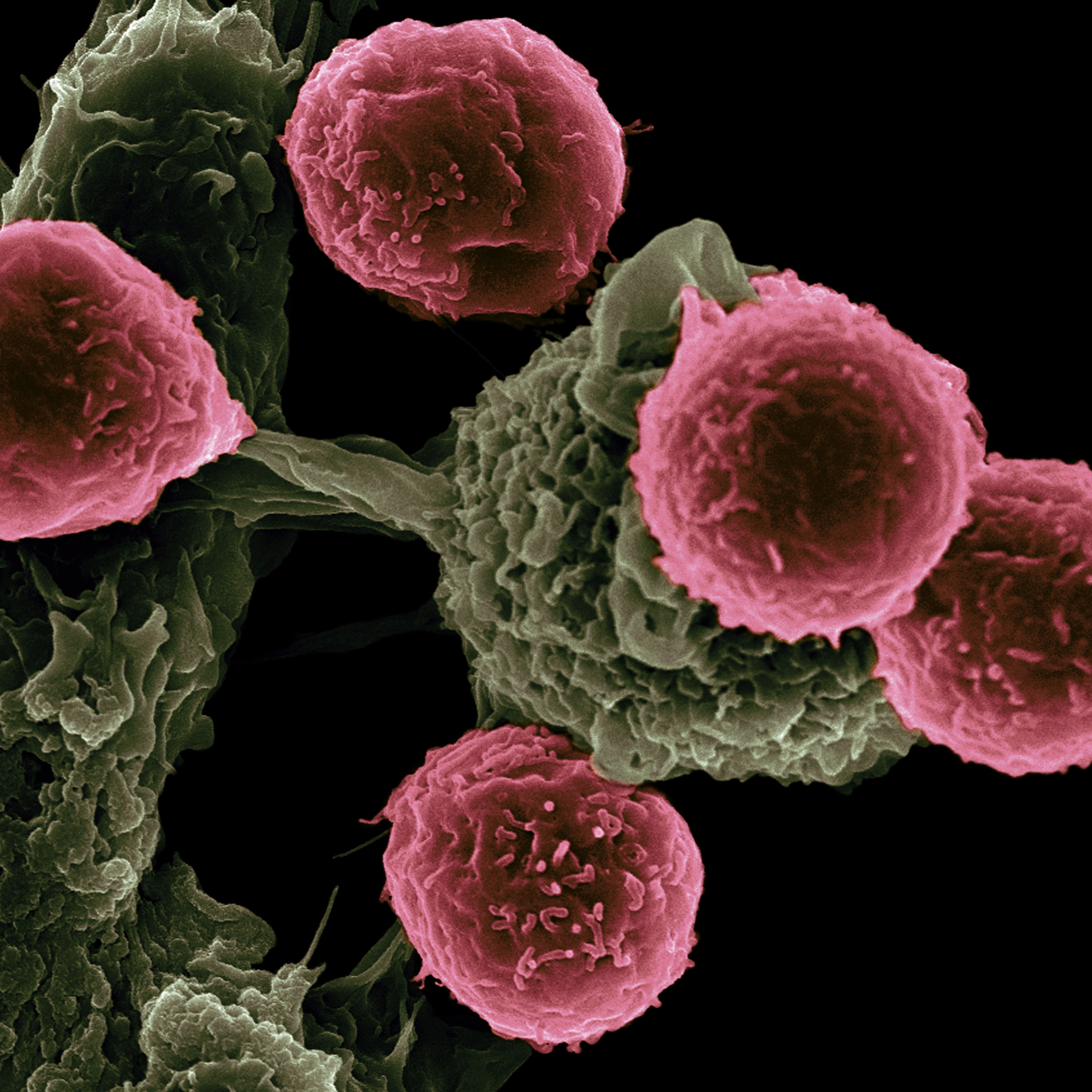 Klein maar fijn: de belofte van nanomedicijnen