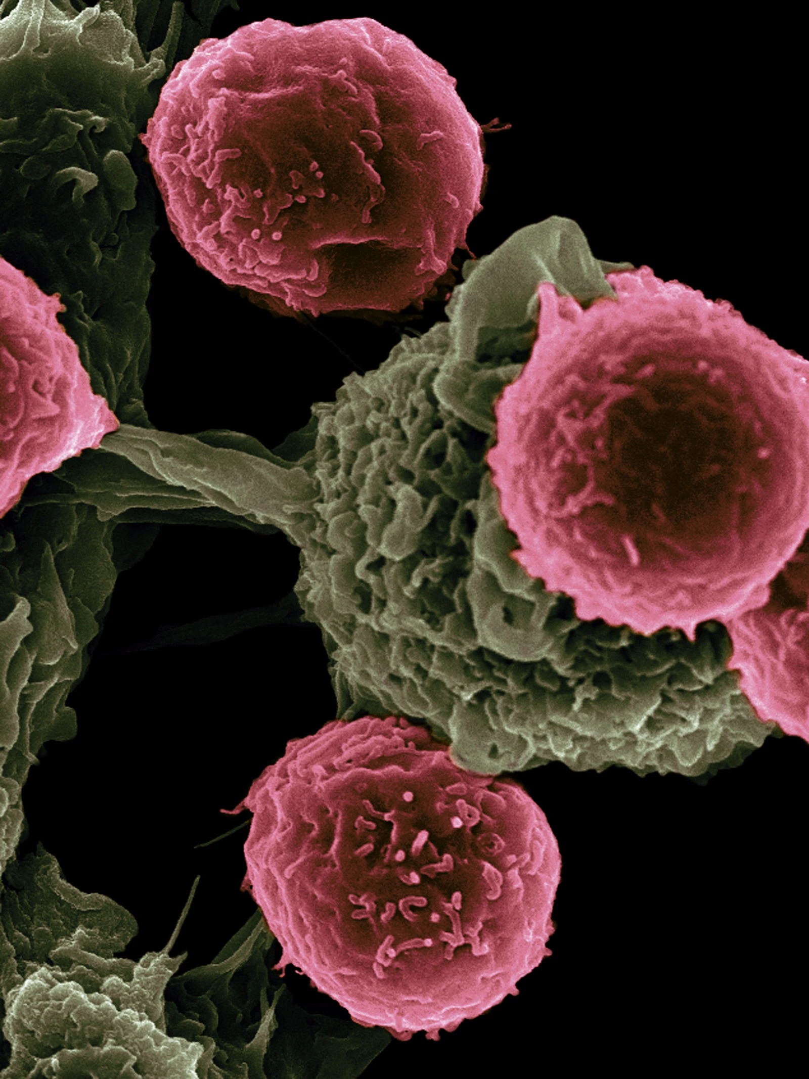 Klein maar fijn: de belofte van nanomedicijnen