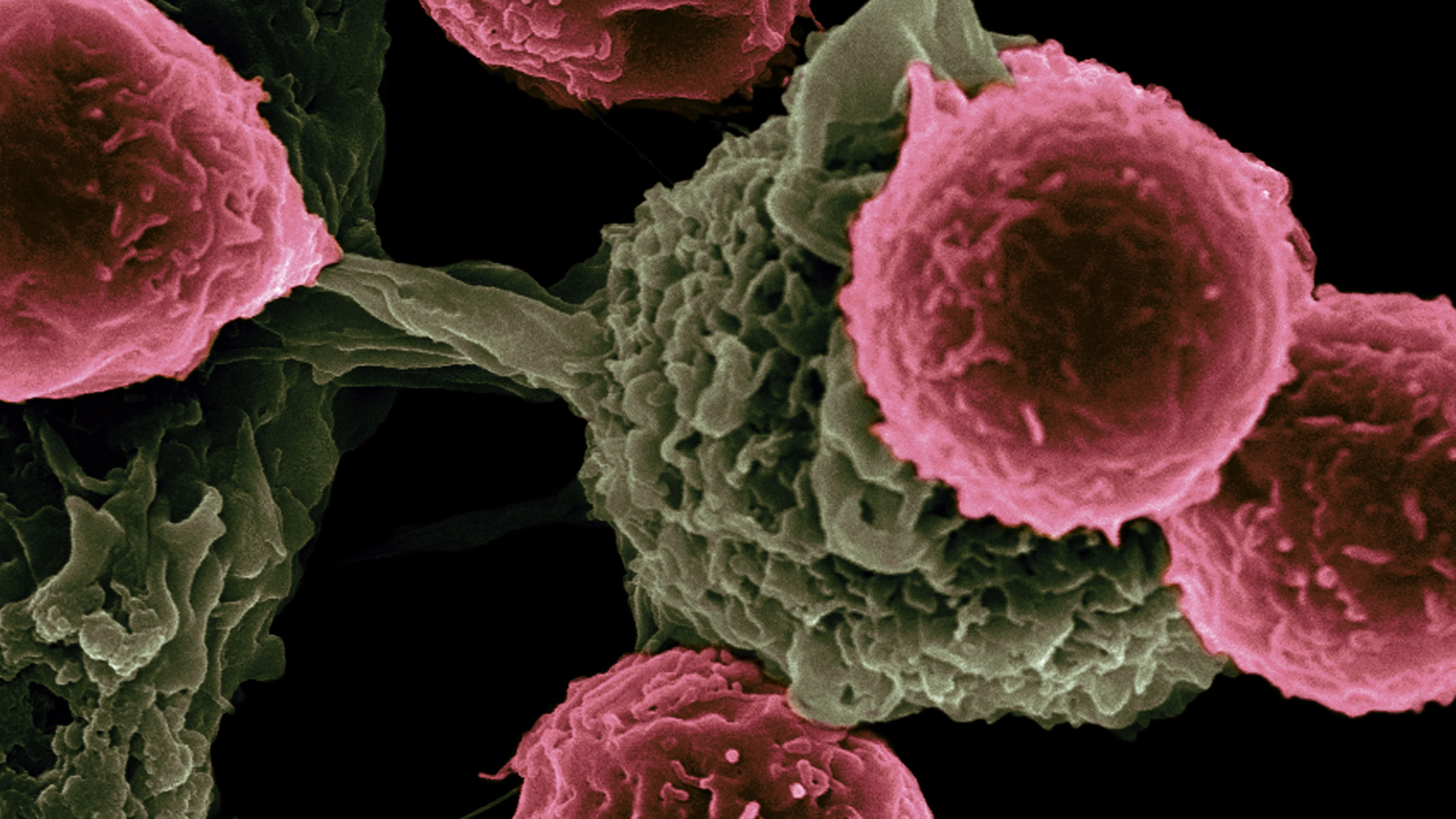Klein maar fijn: de belofte van nanomedicijnen