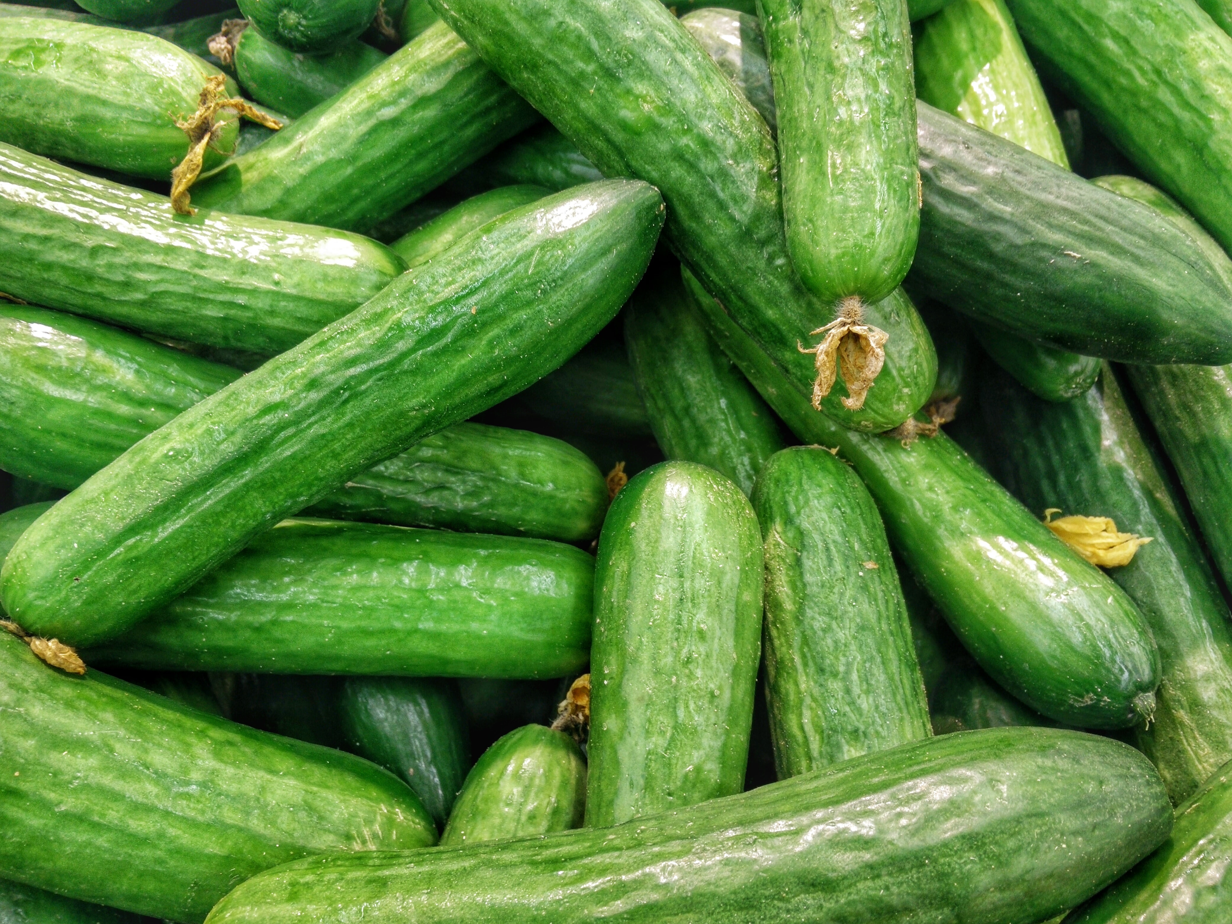De rotte appels tussen corona-studies: 'meer komkommers, minder covid'