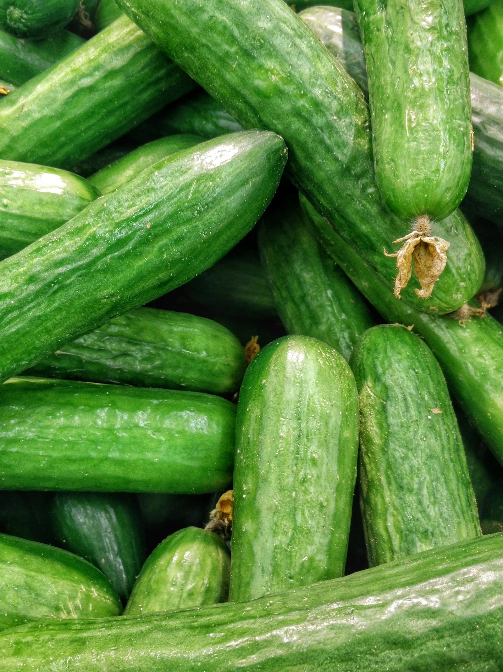 De rotte appels tussen corona-studies: 'meer komkommers, minder covid'