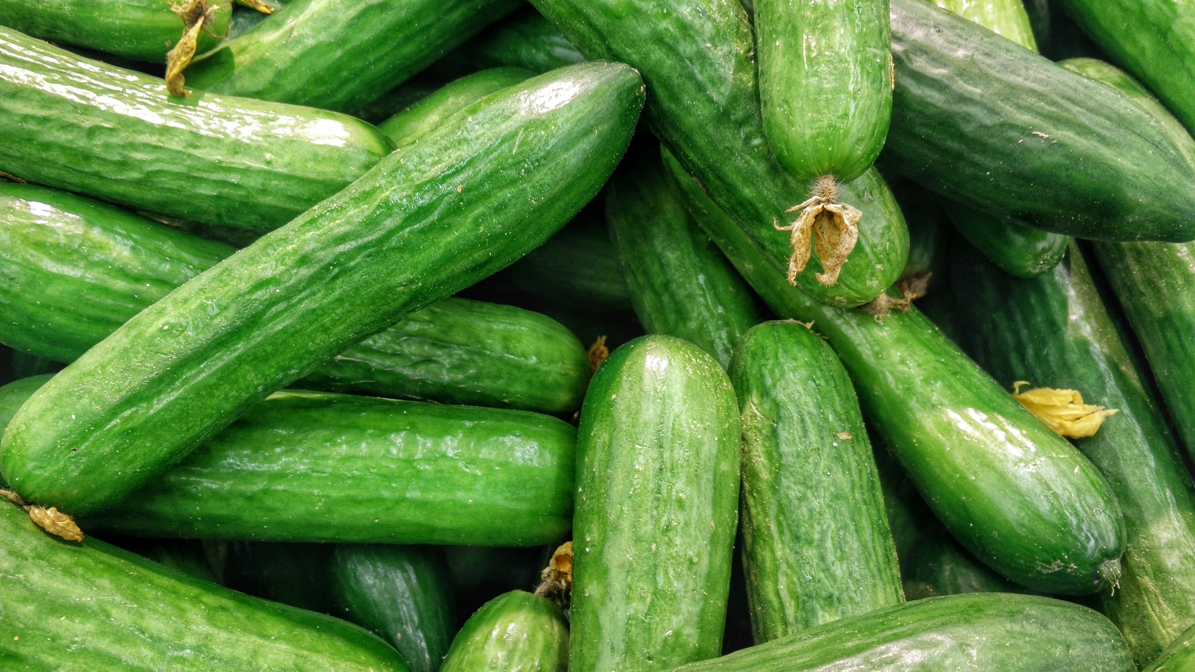 De rotte appels tussen corona-studies: 'meer komkommers, minder covid'