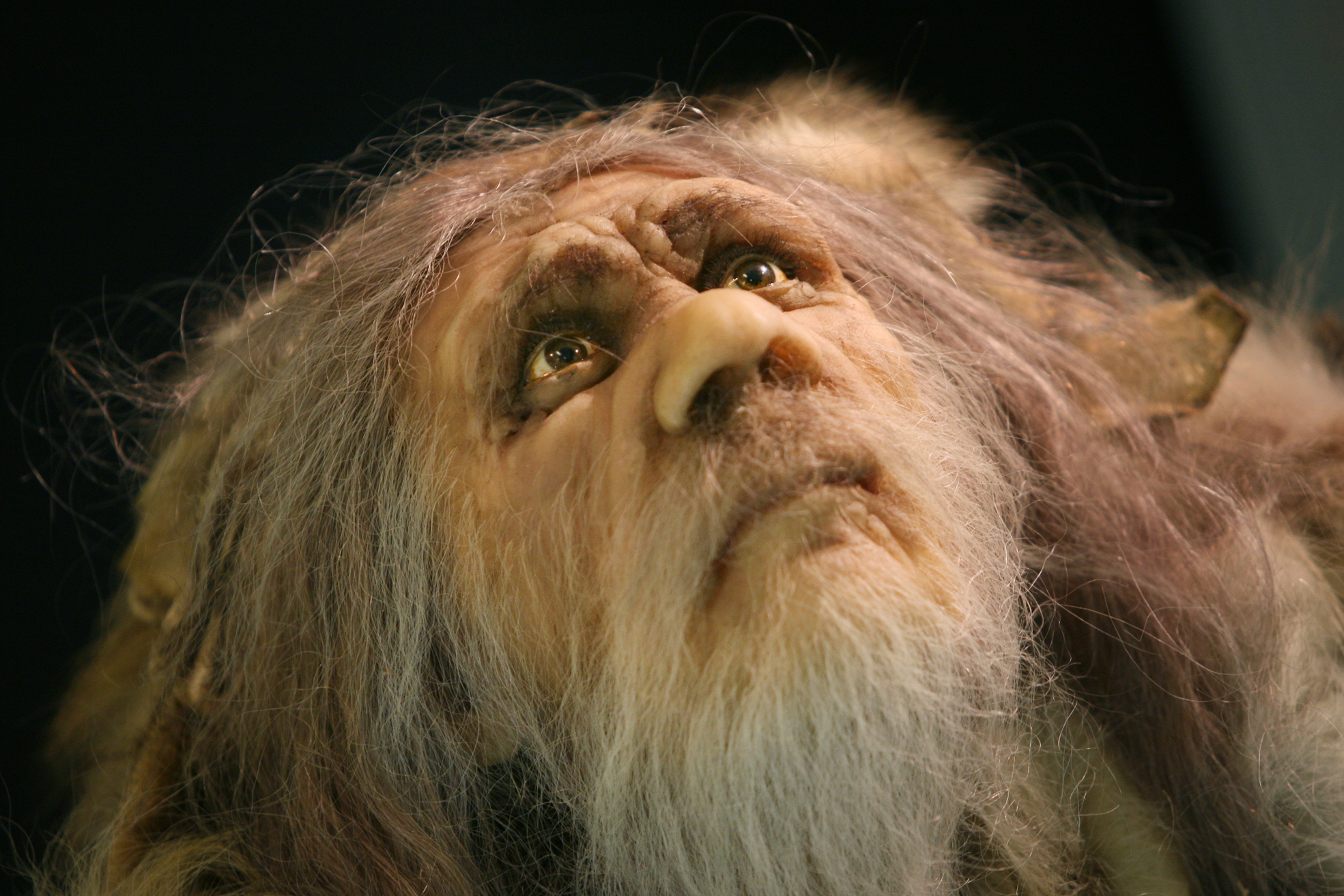 Neanderthalers waren extra gevoelig voor pijn