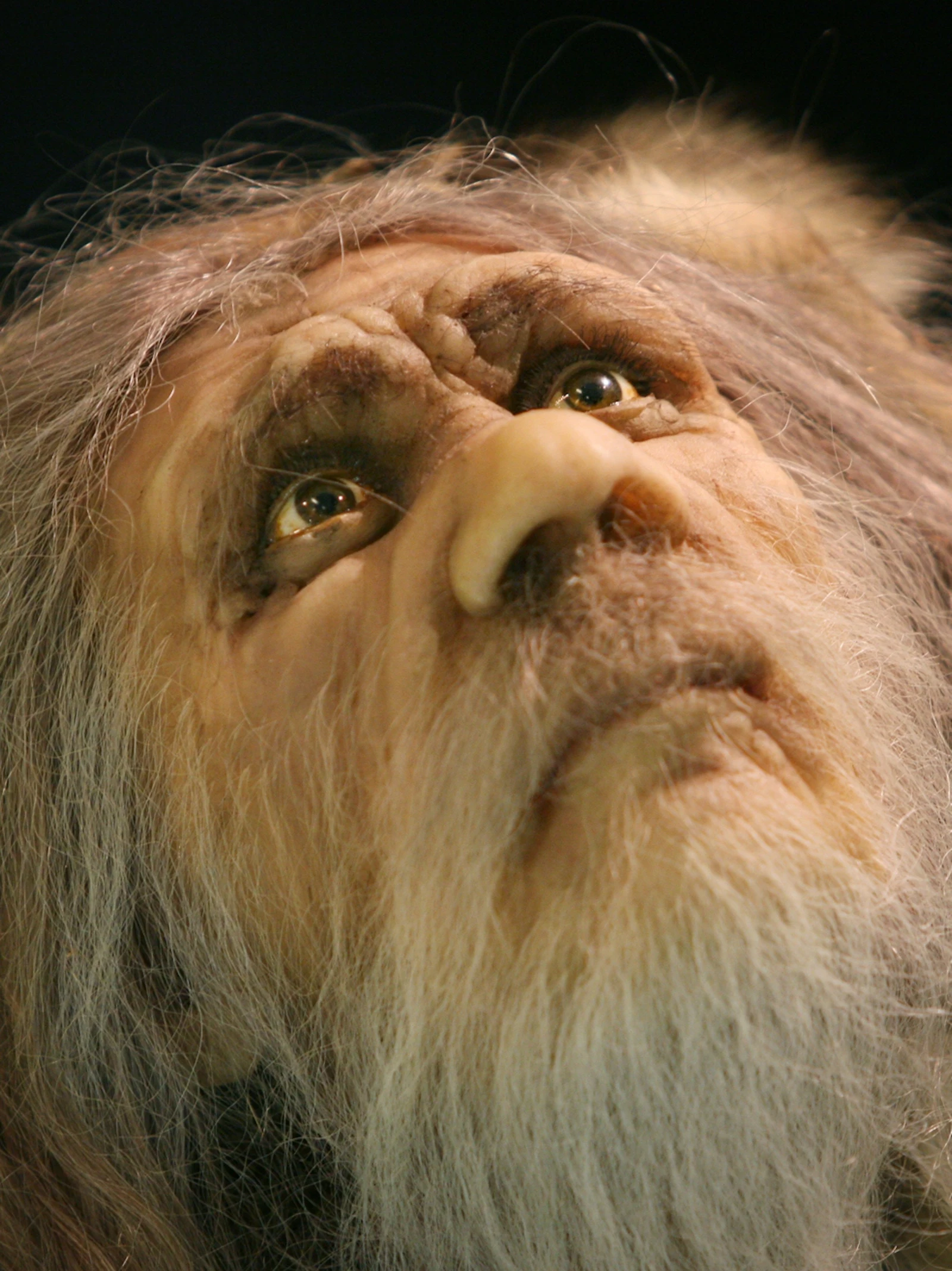 Neanderthalers waren extra gevoelig voor pijn
