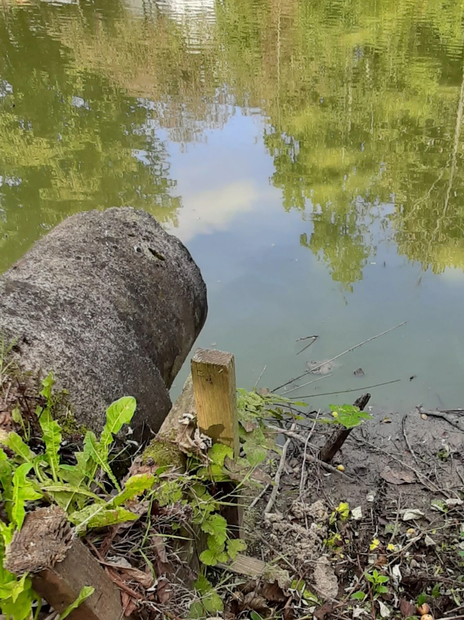 Milieunormen vertellen een gevaarlijk sprookje