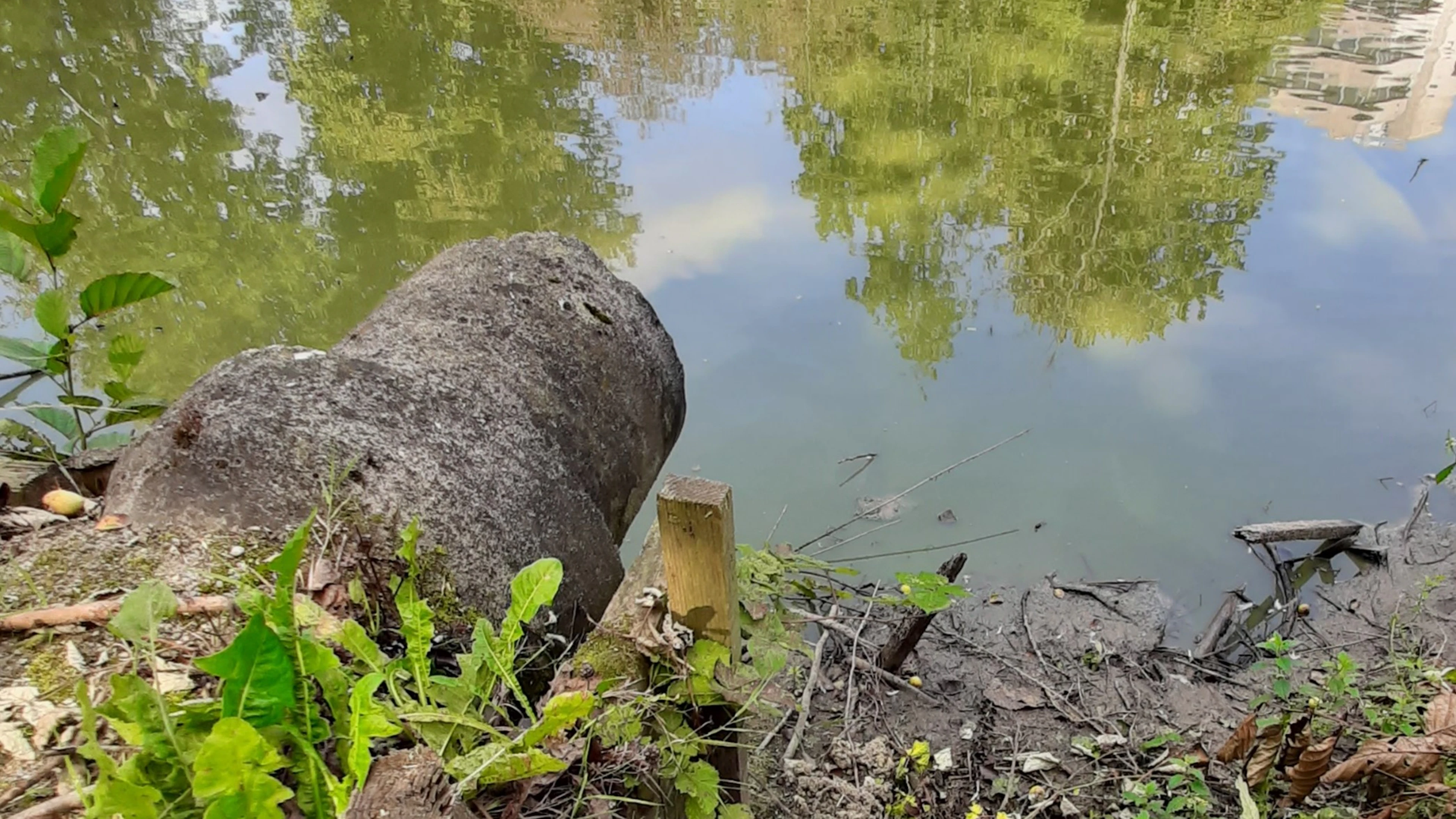 Milieunormen vertellen een gevaarlijk sprookje