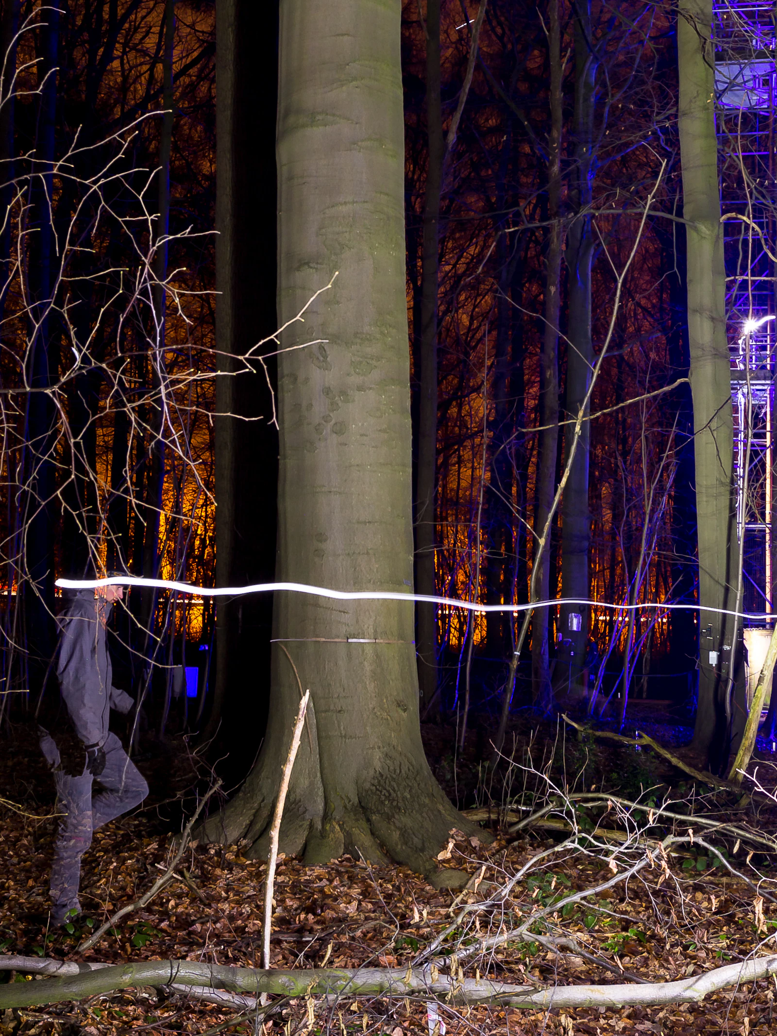 Mottentoren lokt nachtvlinders