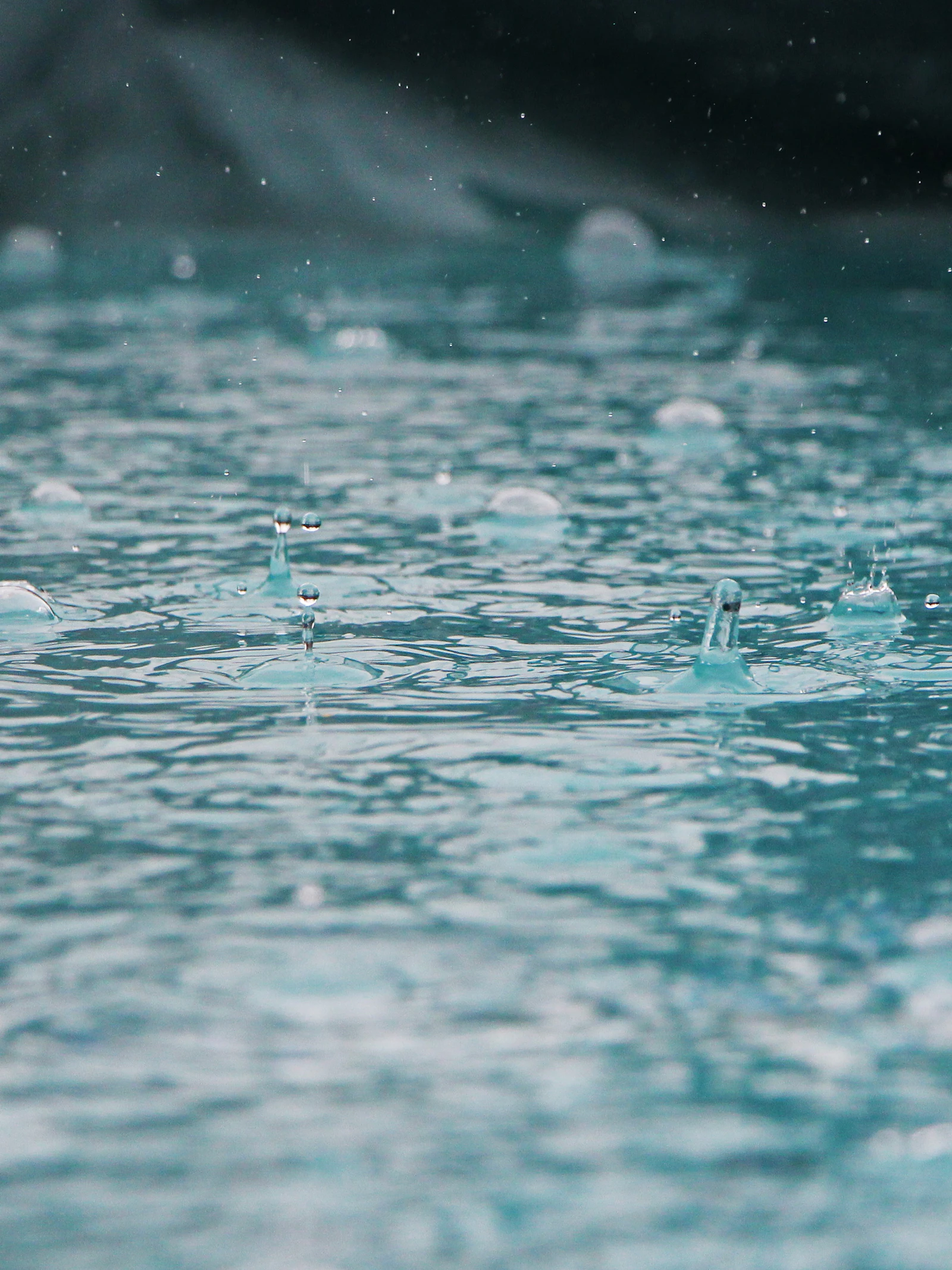 Storm Odette: een herinnering voor de toekomst