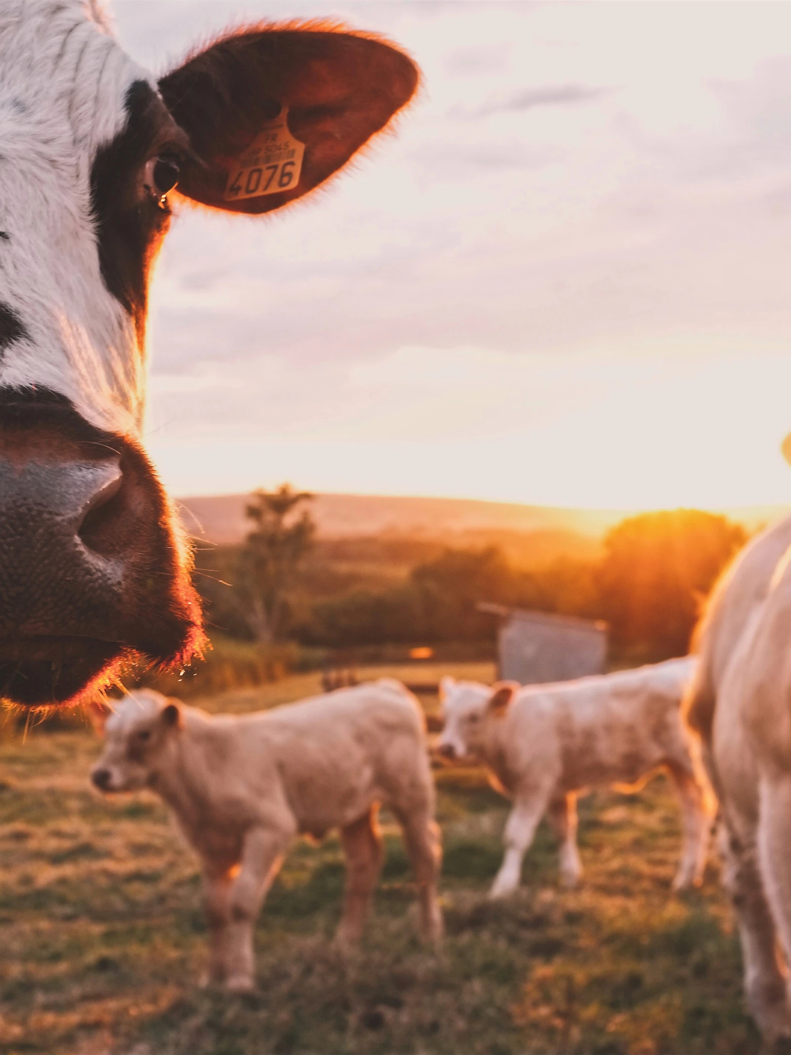 Hoe infectieziekten en klimaatopwarming elkaar versterken