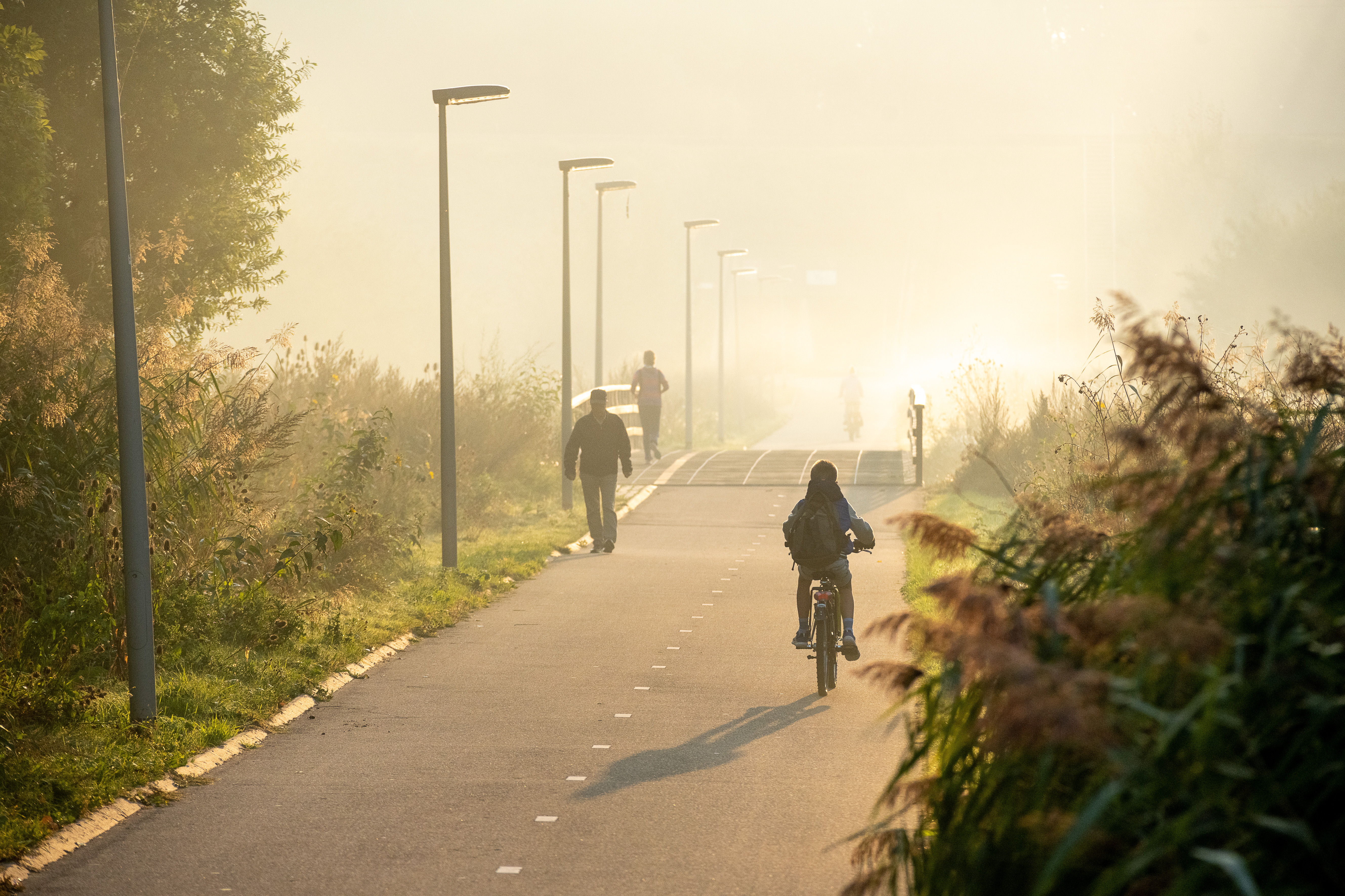 Waarom is het vaak mistig in de herfst?