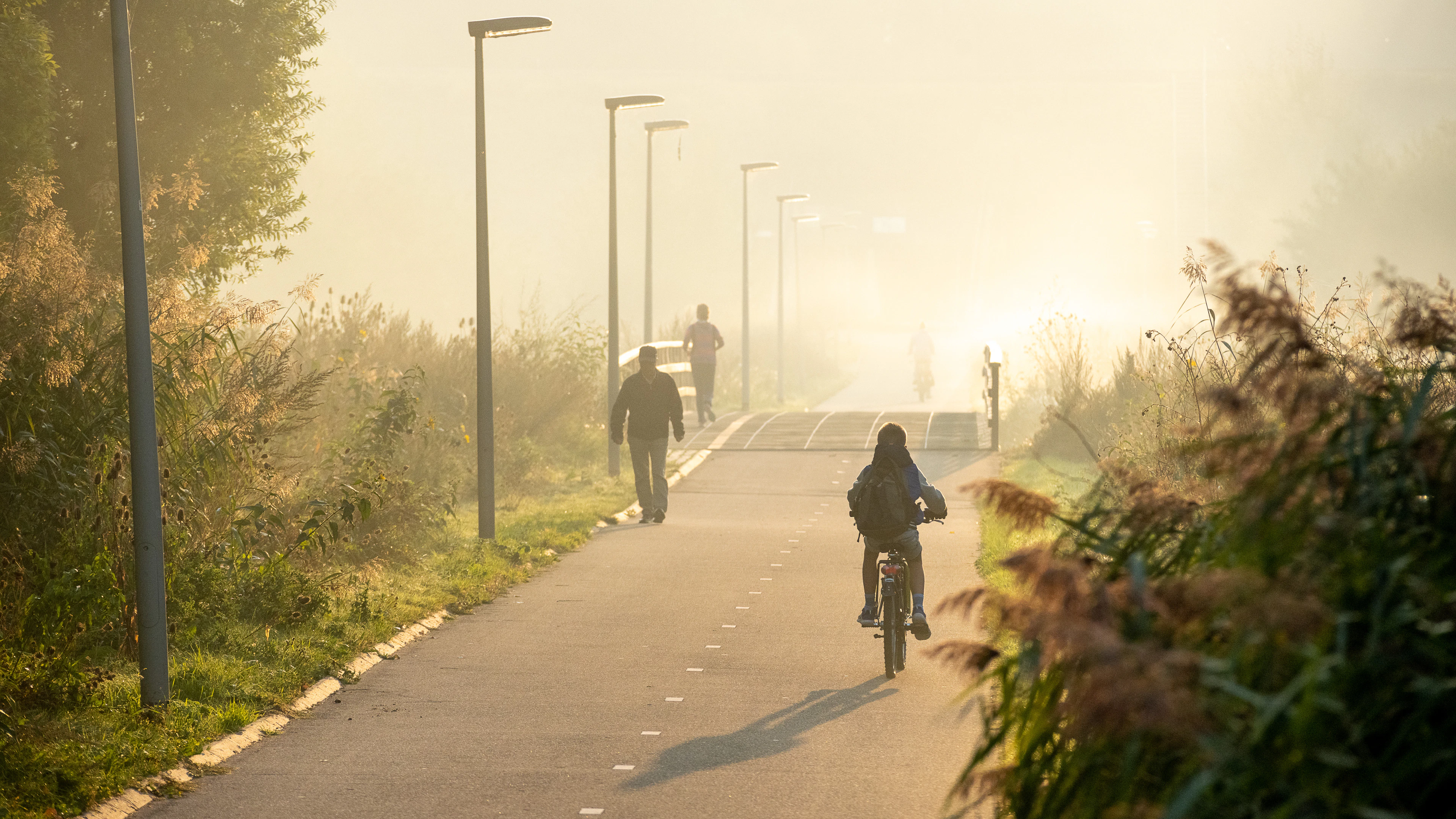 Waarom is het vaak mistig in de herfst?