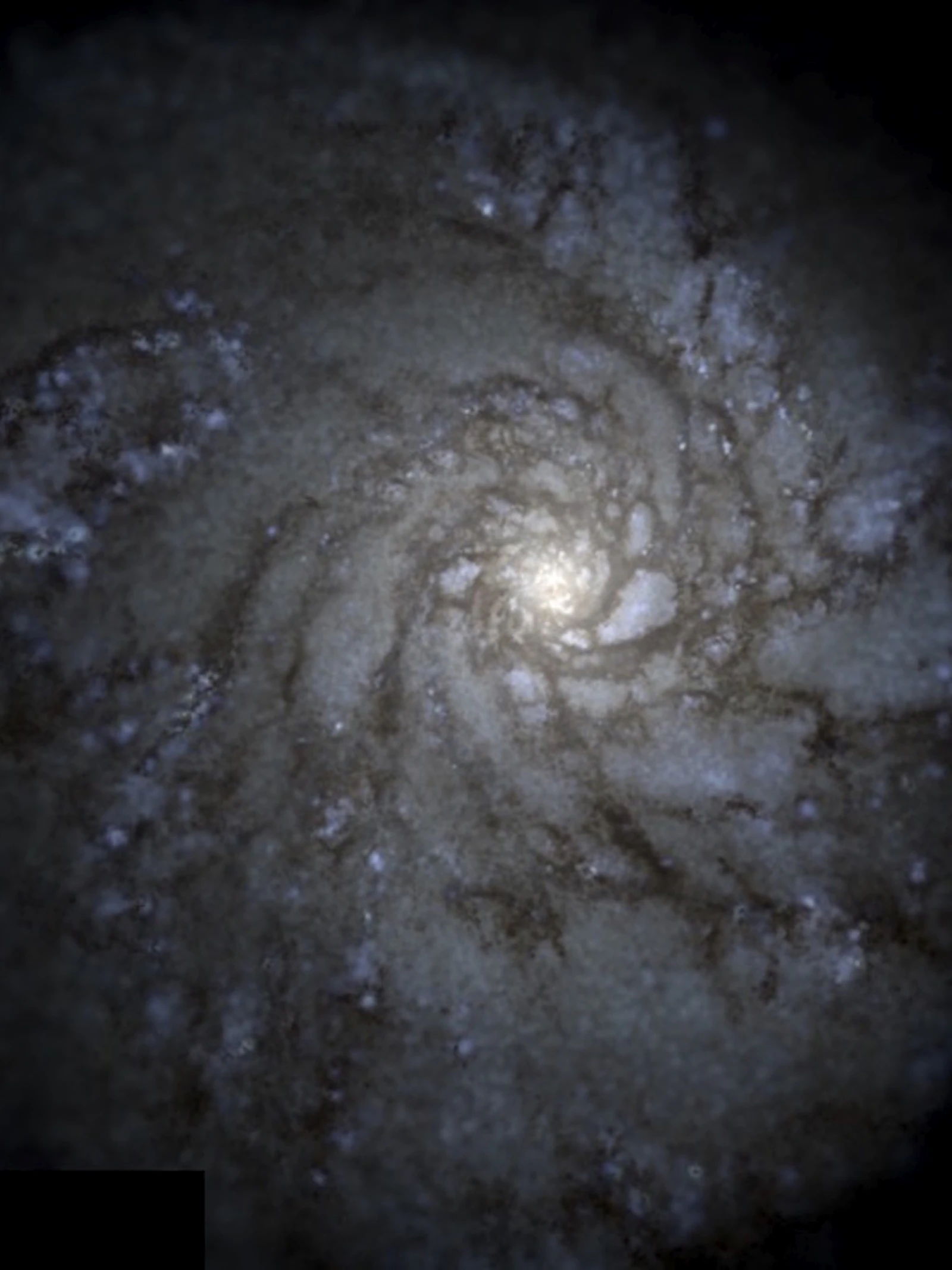 Astronomen ontcijferen de stamboom van de melkweg