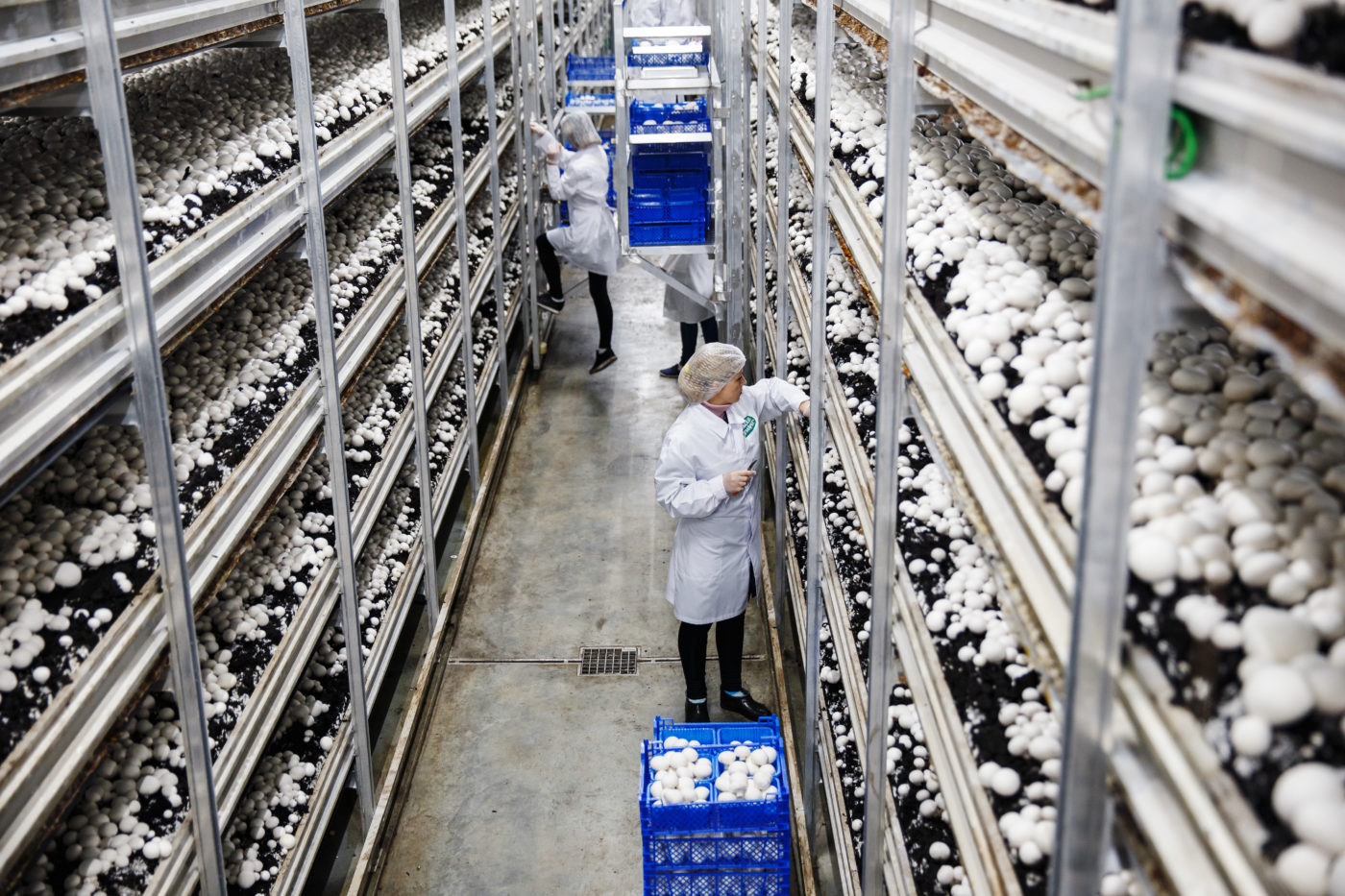 FoodUnfolded® en Eos Tracé kondigen een nieuwe samenwerking aan