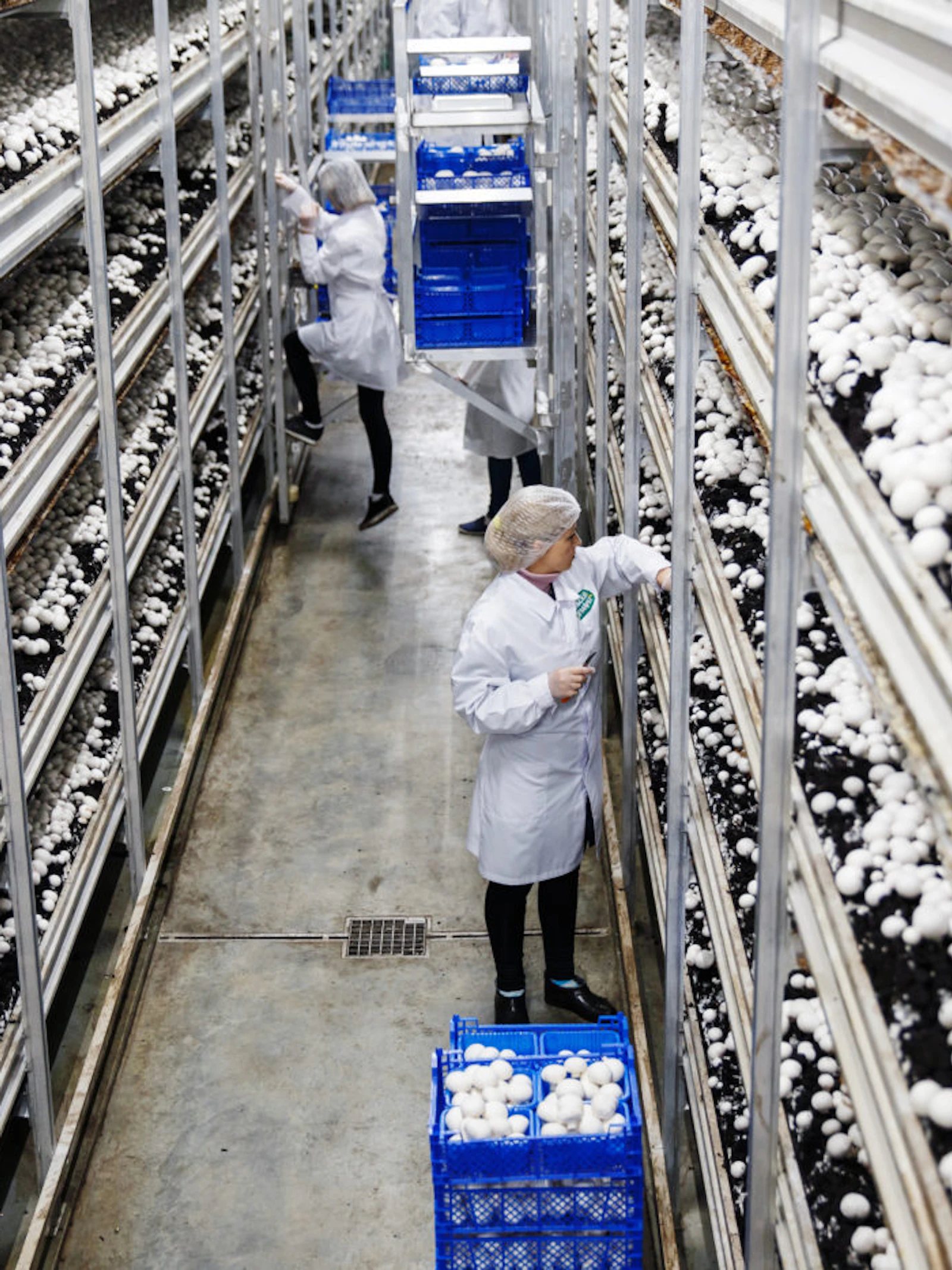 FoodUnfolded® en Eos Tracé kondigen een nieuwe samenwerking aan