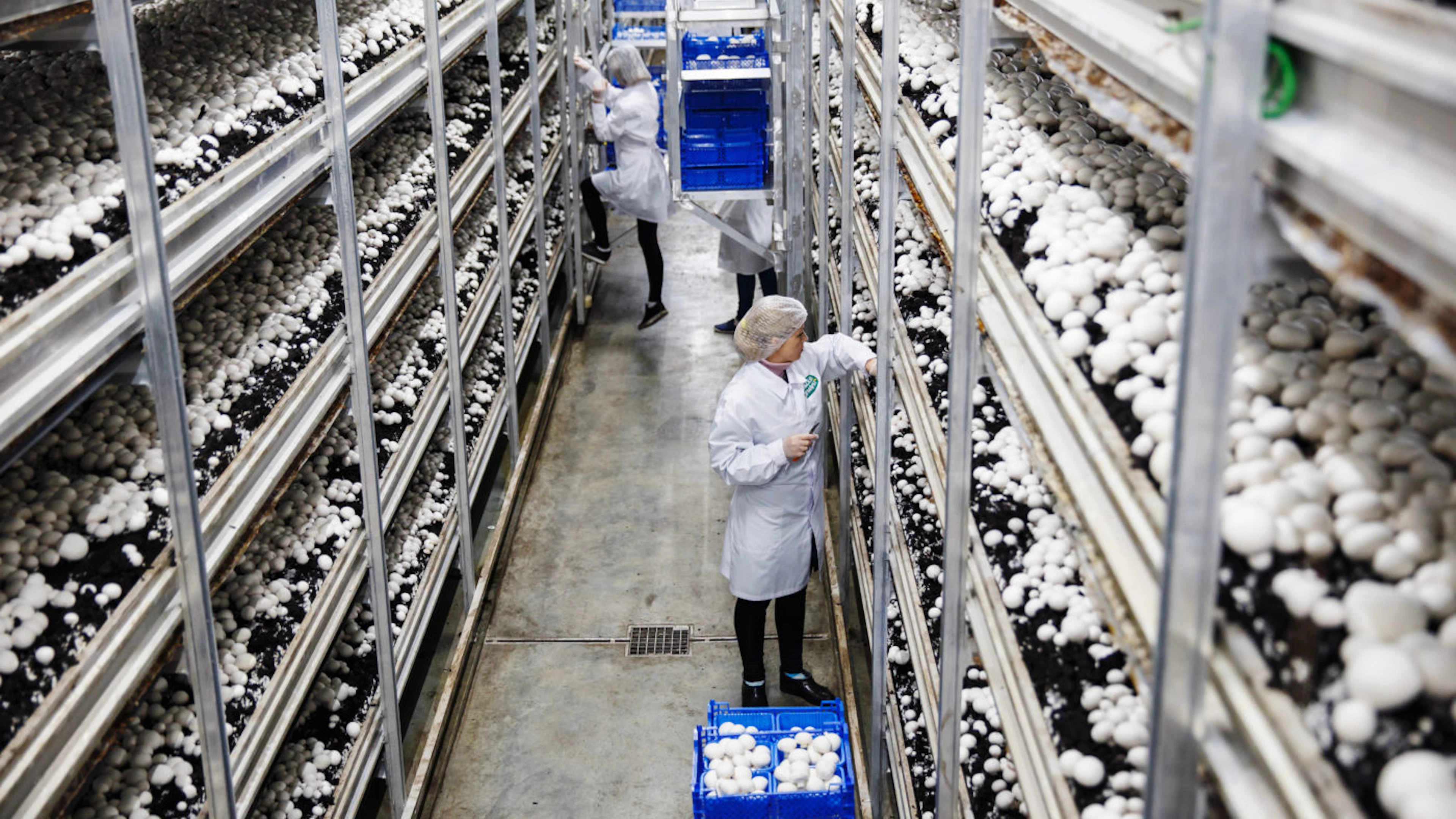 FoodUnfolded® en Eos Tracé kondigen een nieuwe samenwerking aan