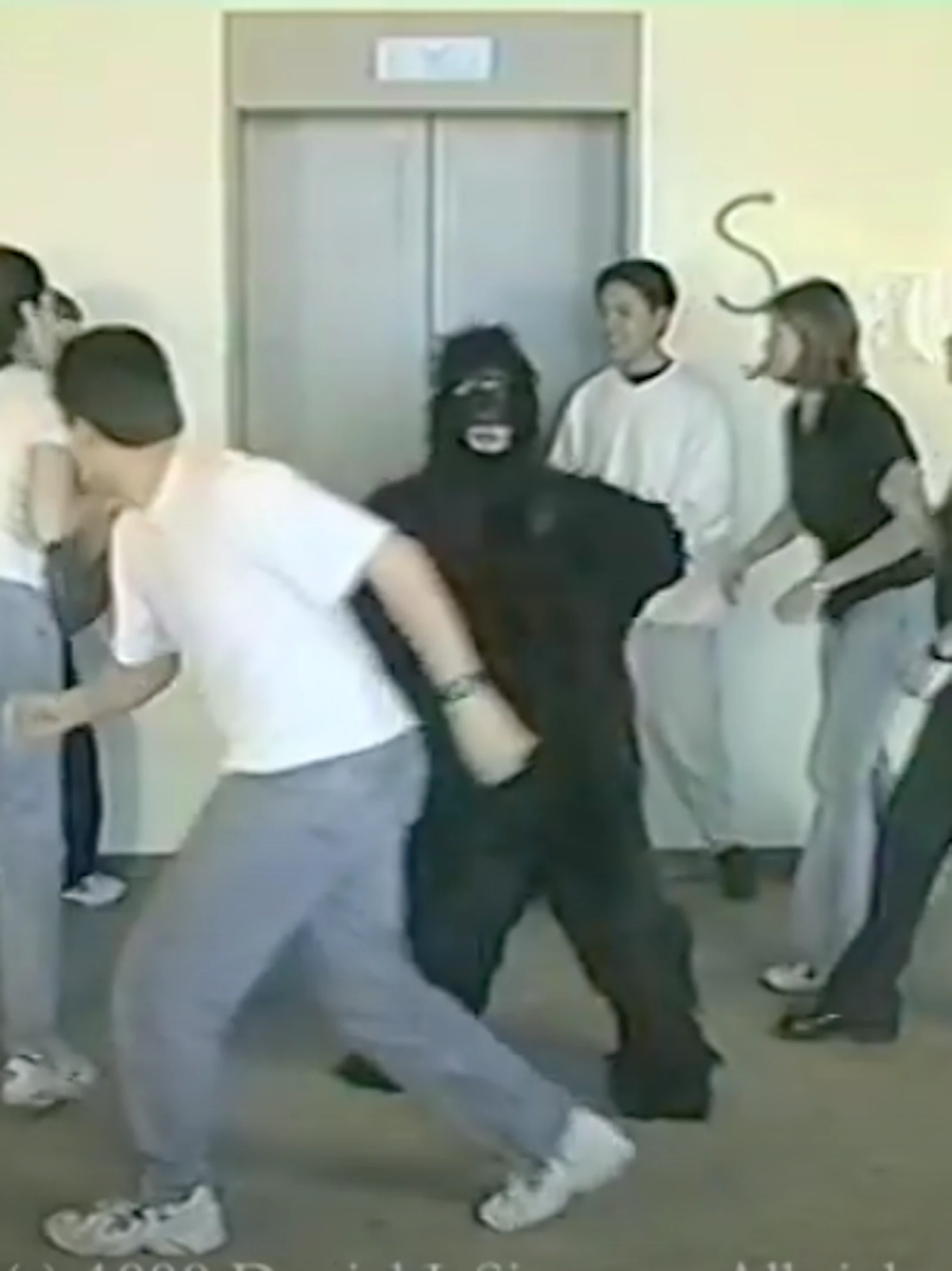 The Invisible Gorilla uitgelegd