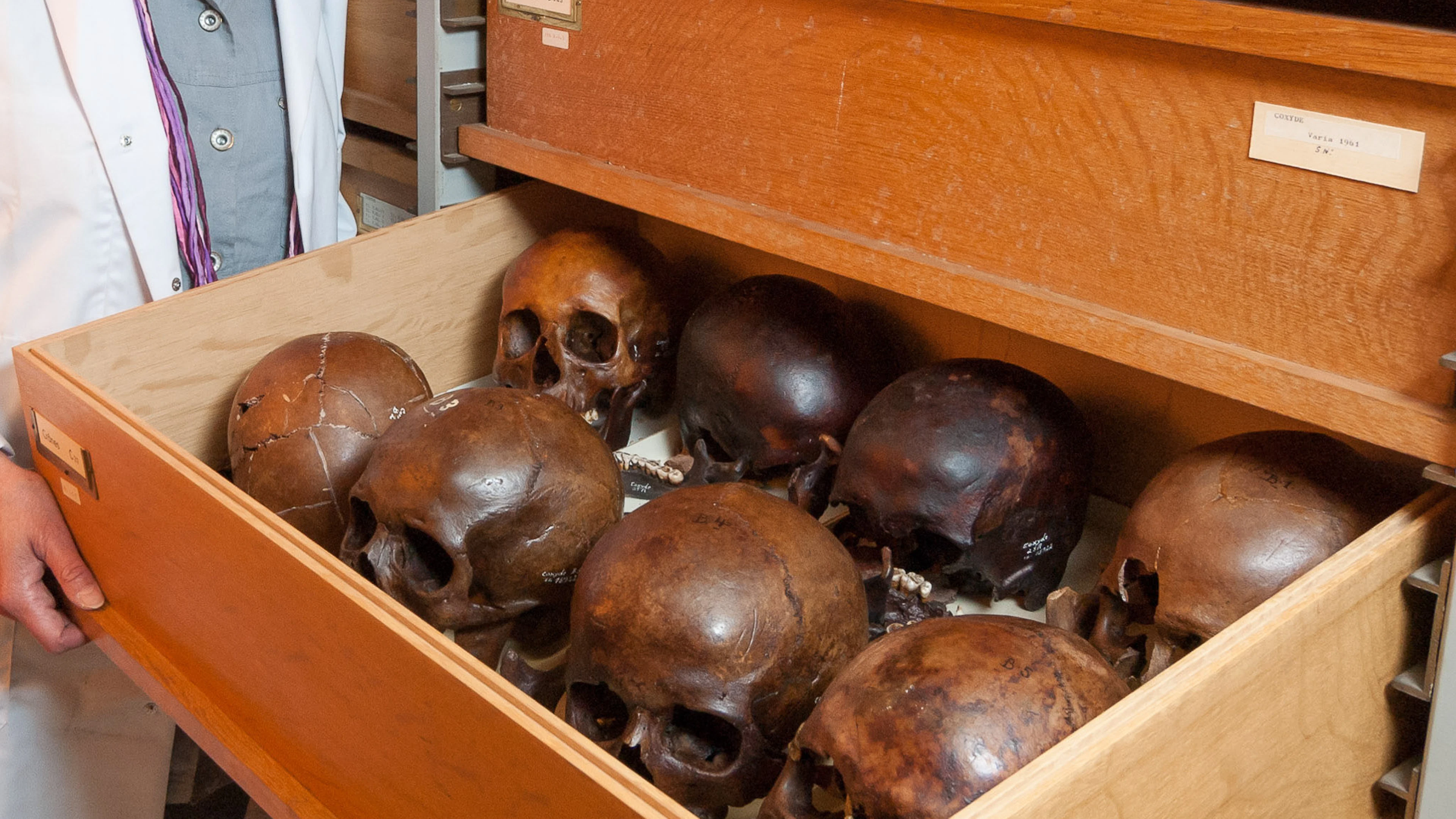 Kunnen menselijke resten uit musea terug naar land van herkomst?