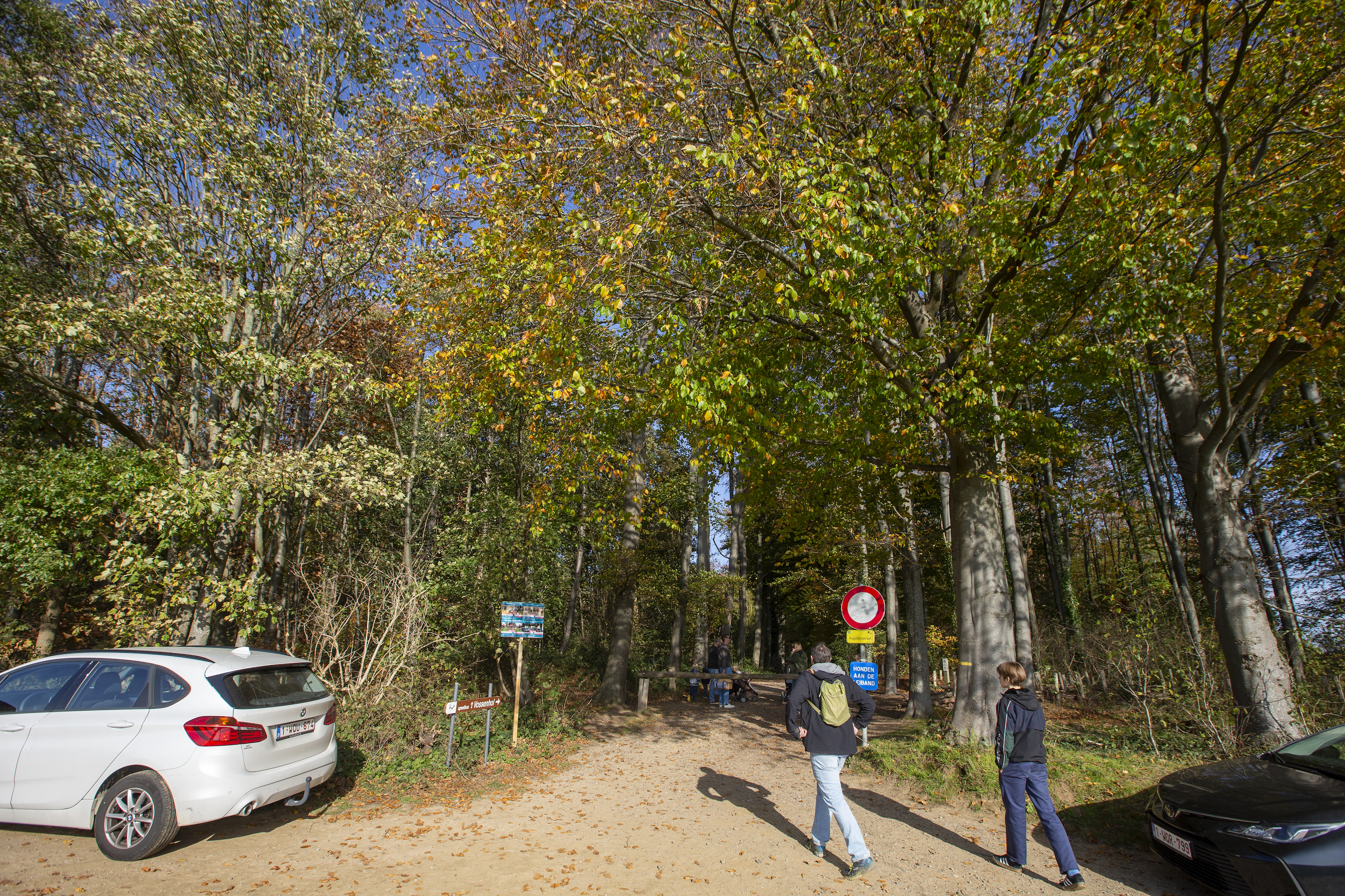 November 2020 was warmste novembermaand ooit