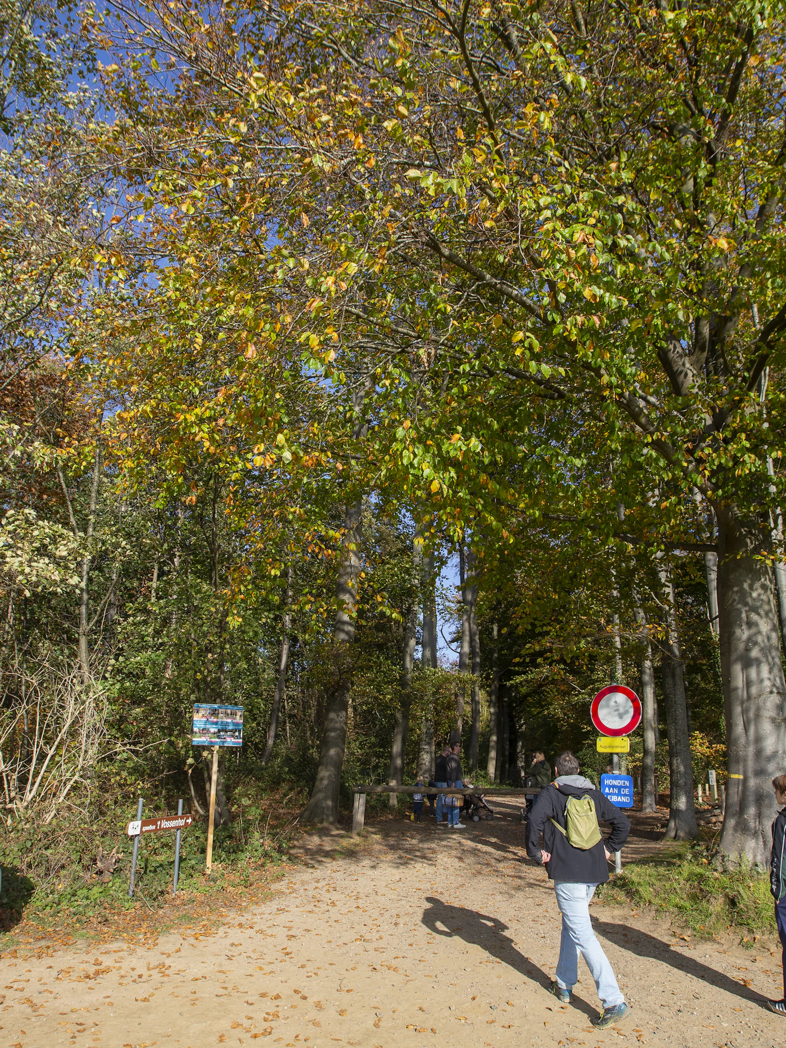 November 2020 was warmste novembermaand ooit