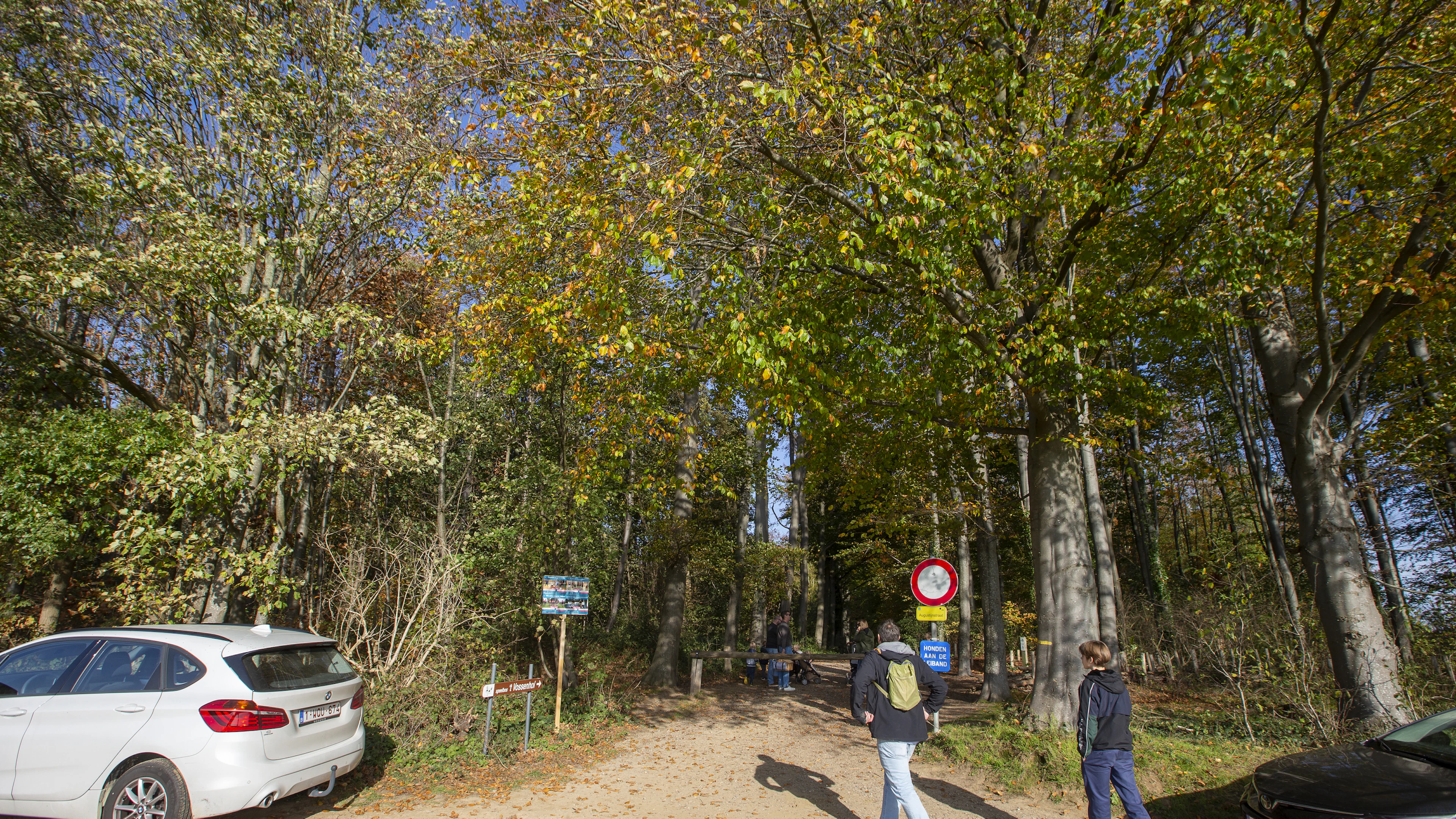 November 2020 was warmste novembermaand ooit