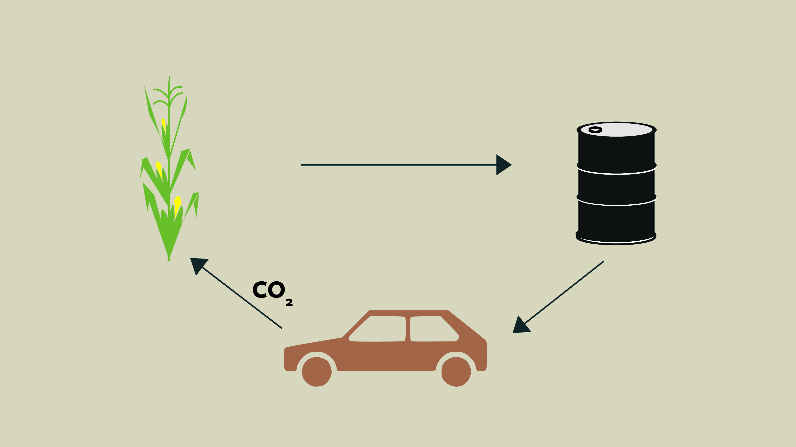Van plantenafval naar biobrandstof