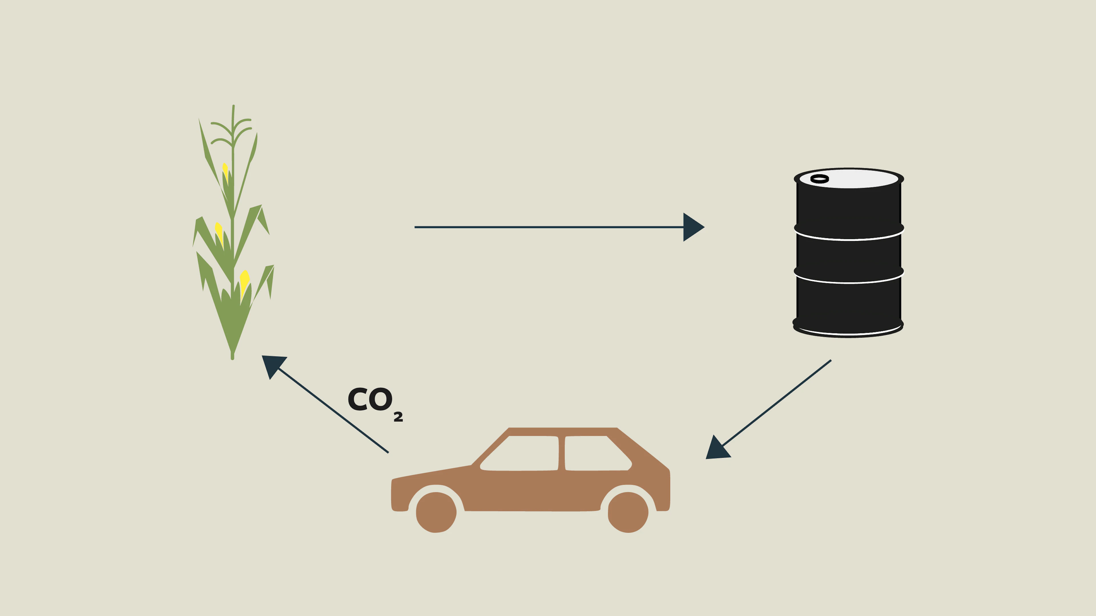 Van plantenafval naar biobrandstof