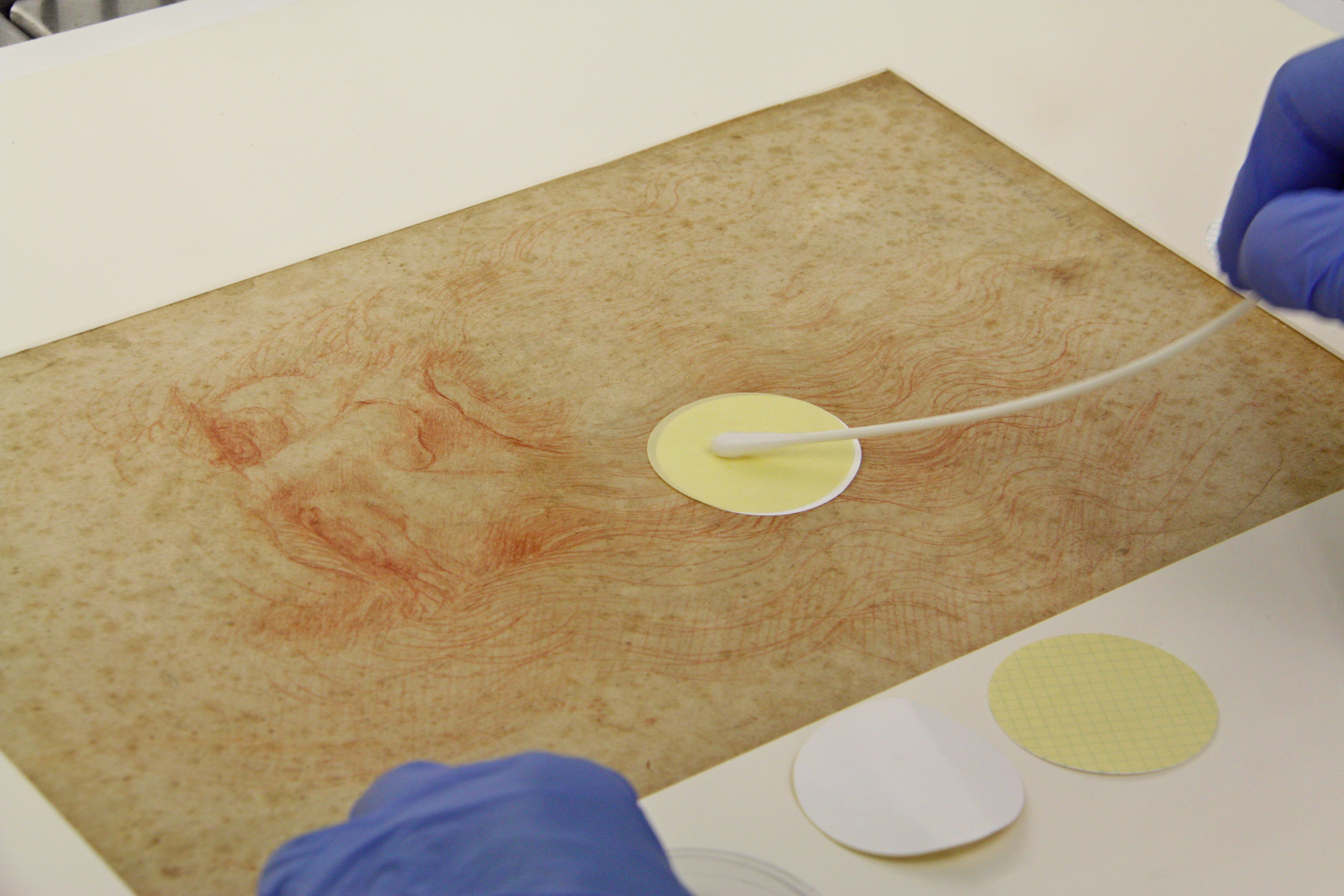 Het microbioom van een Da Vinci