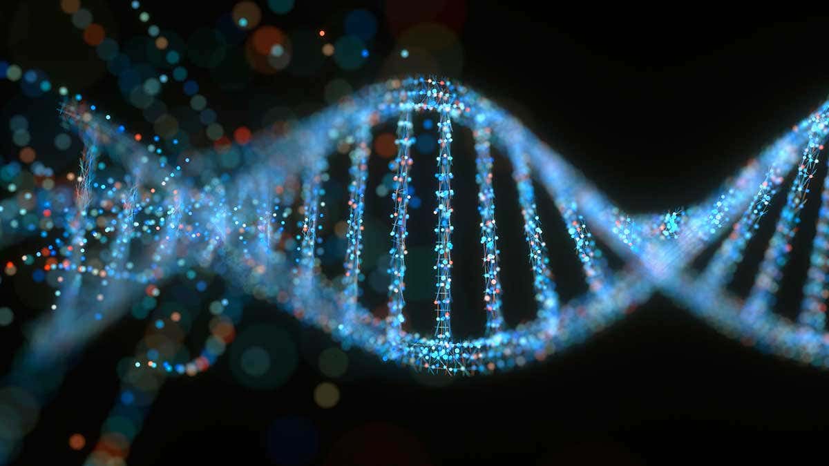 Kennen we het volledige menselijke DNA?