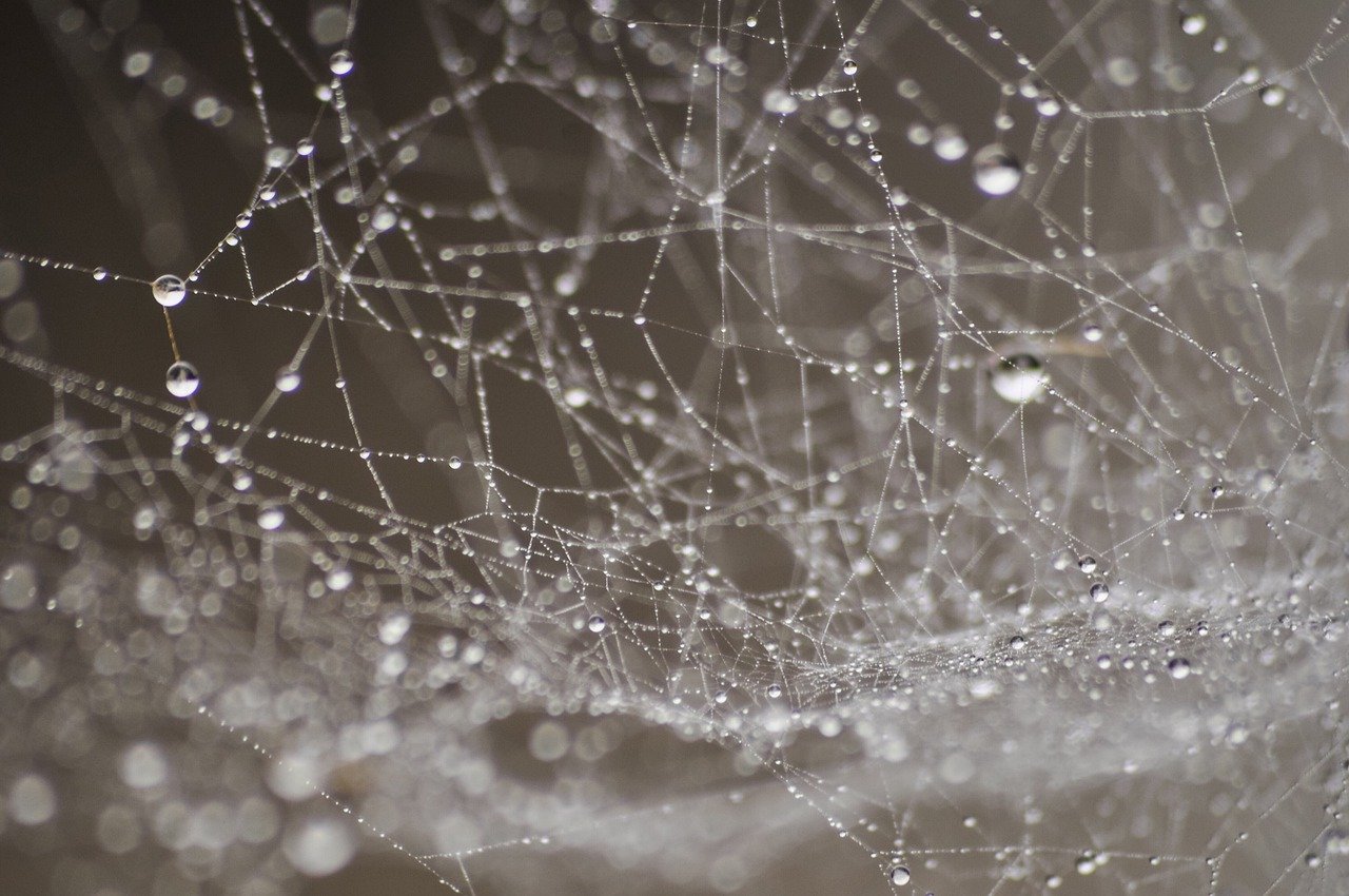 Nanomateriaal uit de zijde van een spin dringt menselijke cellen binnen
