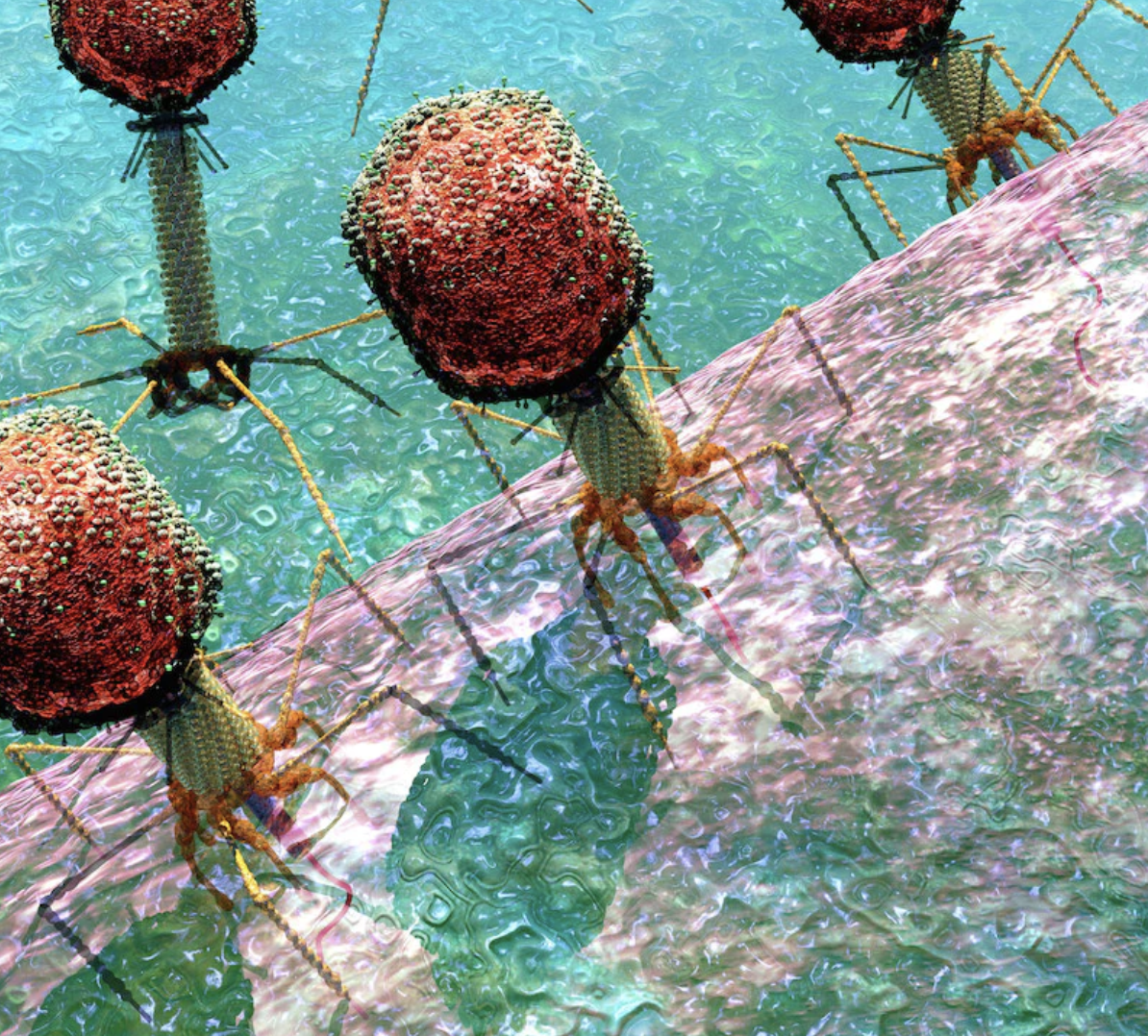 Virus als vriend