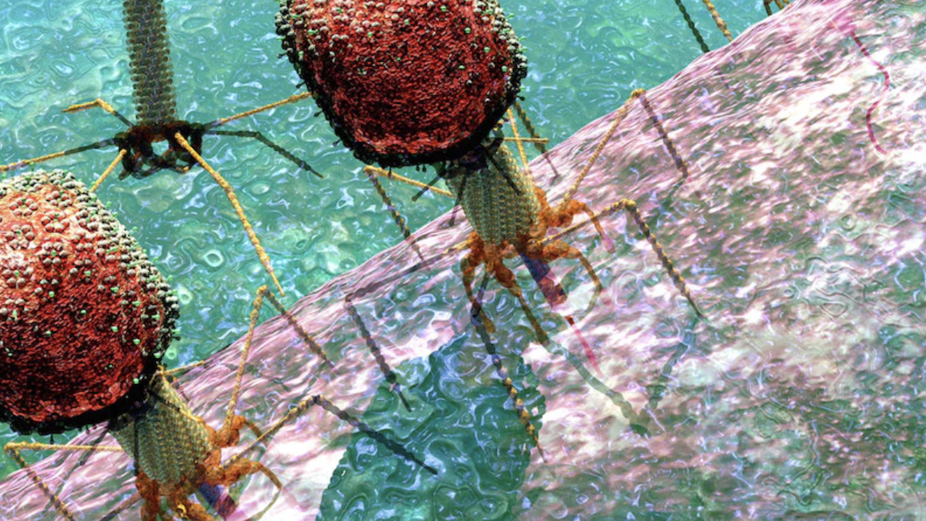 Virus als vriend