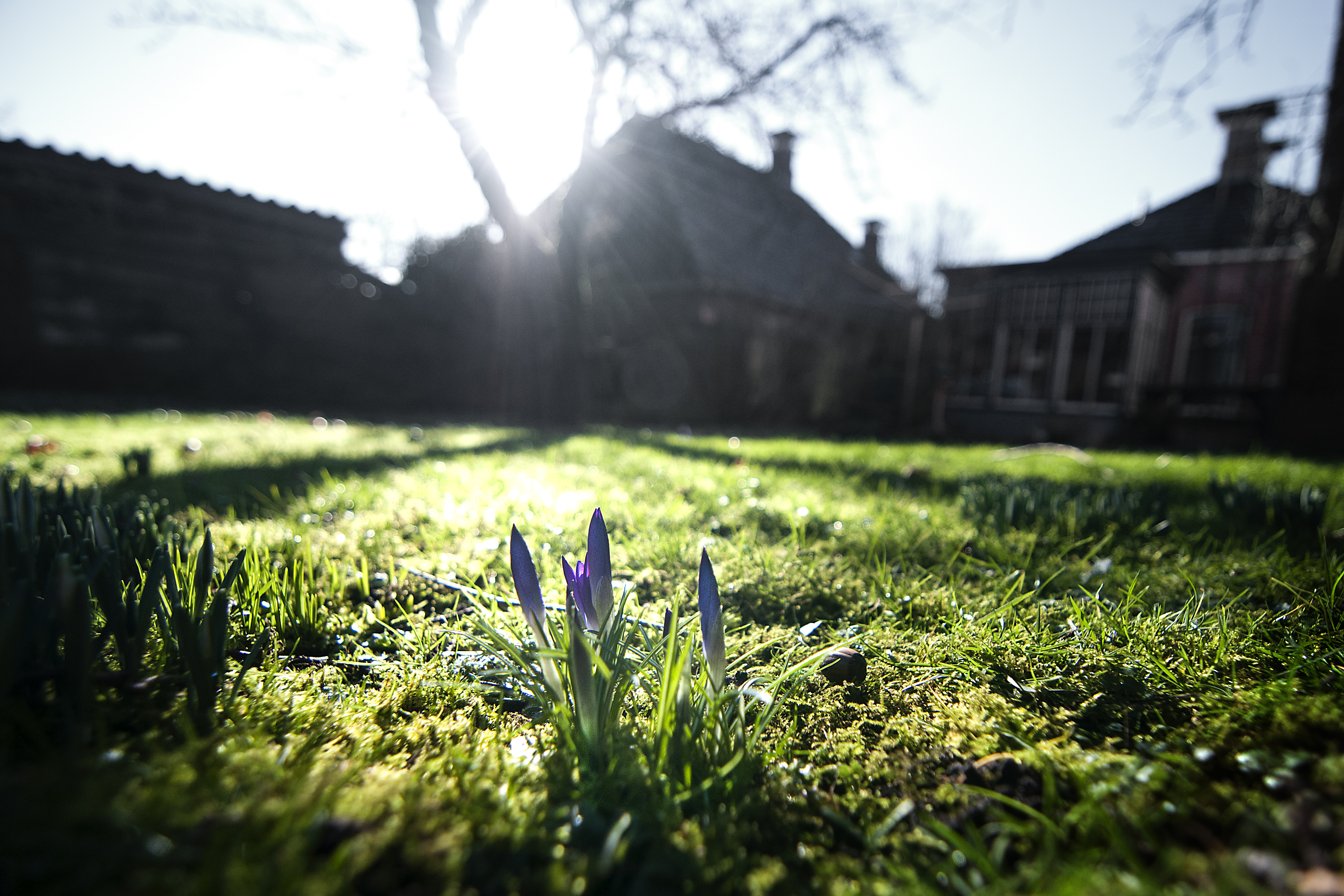 Van barre winterkou naar vroege lente, is dat uitzonderlijk?