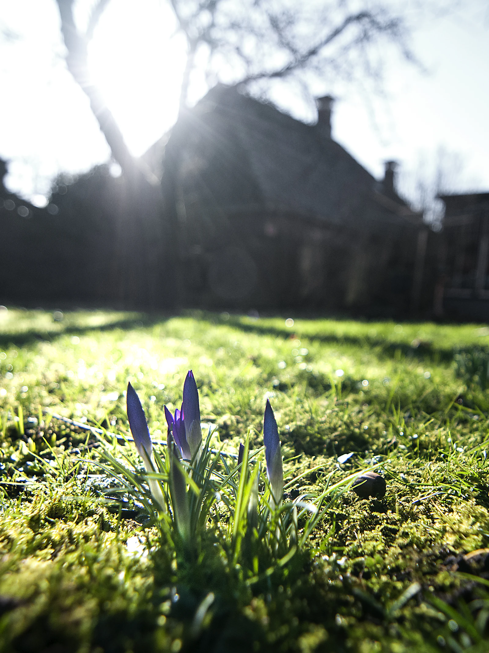 Van barre winterkou naar vroege lente, is dat uitzonderlijk?