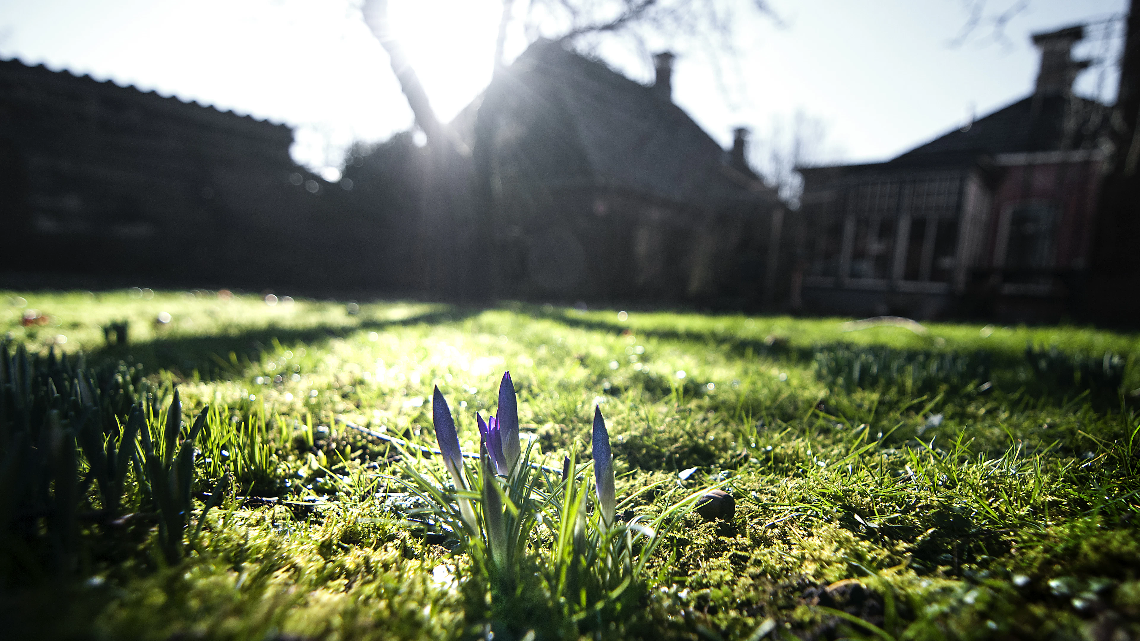 Van barre winterkou naar vroege lente, is dat uitzonderlijk?