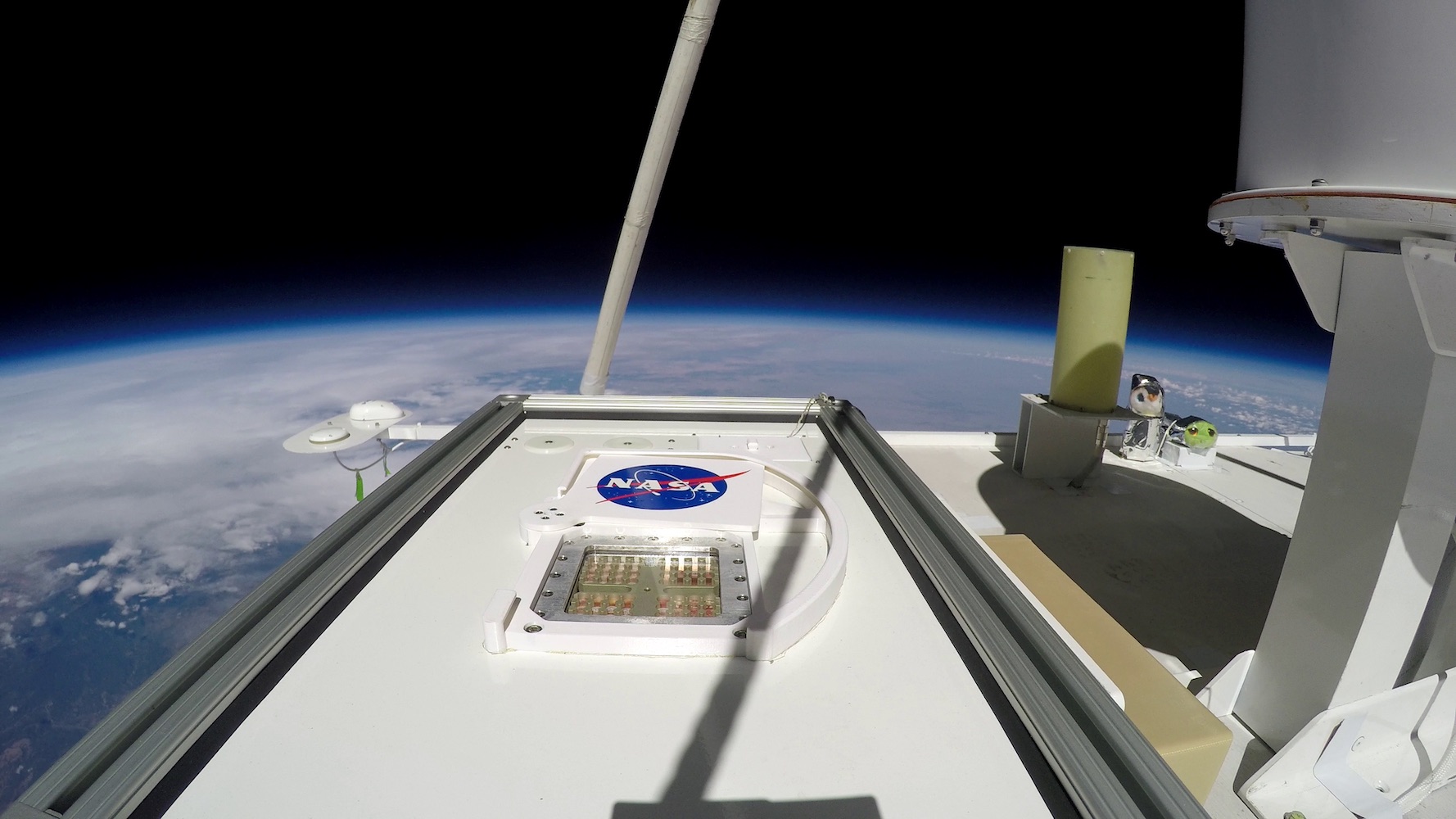 Aards leven kan tijdelijk overleven op Mars