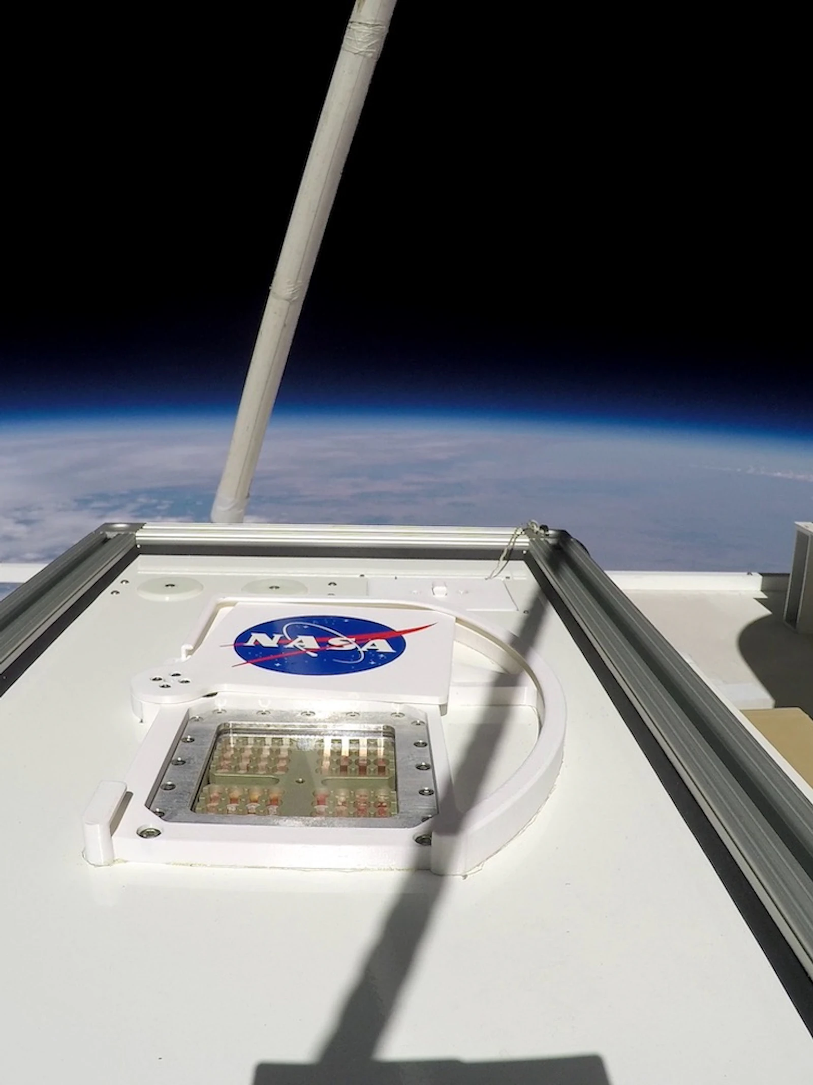 Aards leven kan tijdelijk overleven op Mars