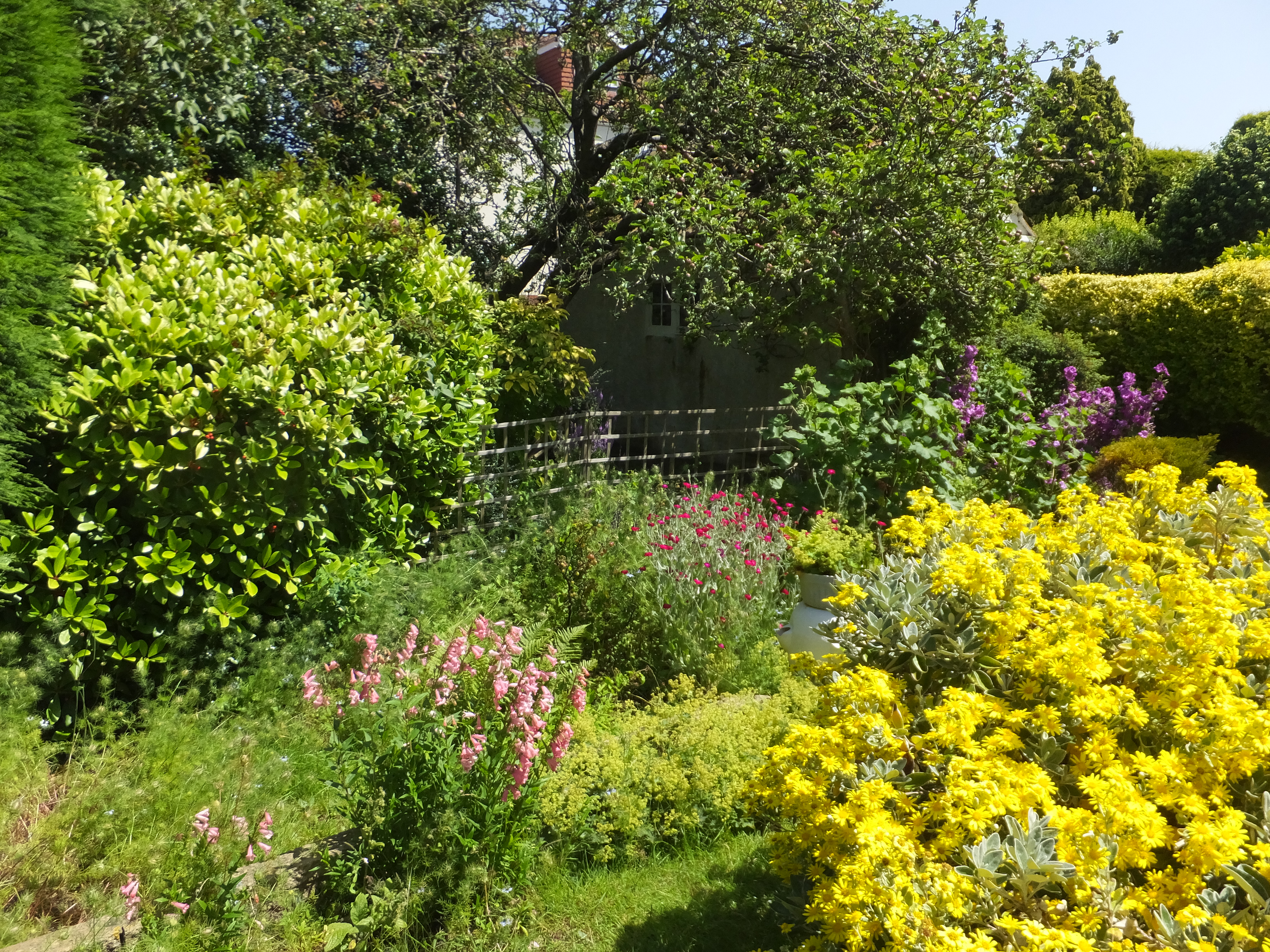 Het belang van een bloemrijke achtertuin